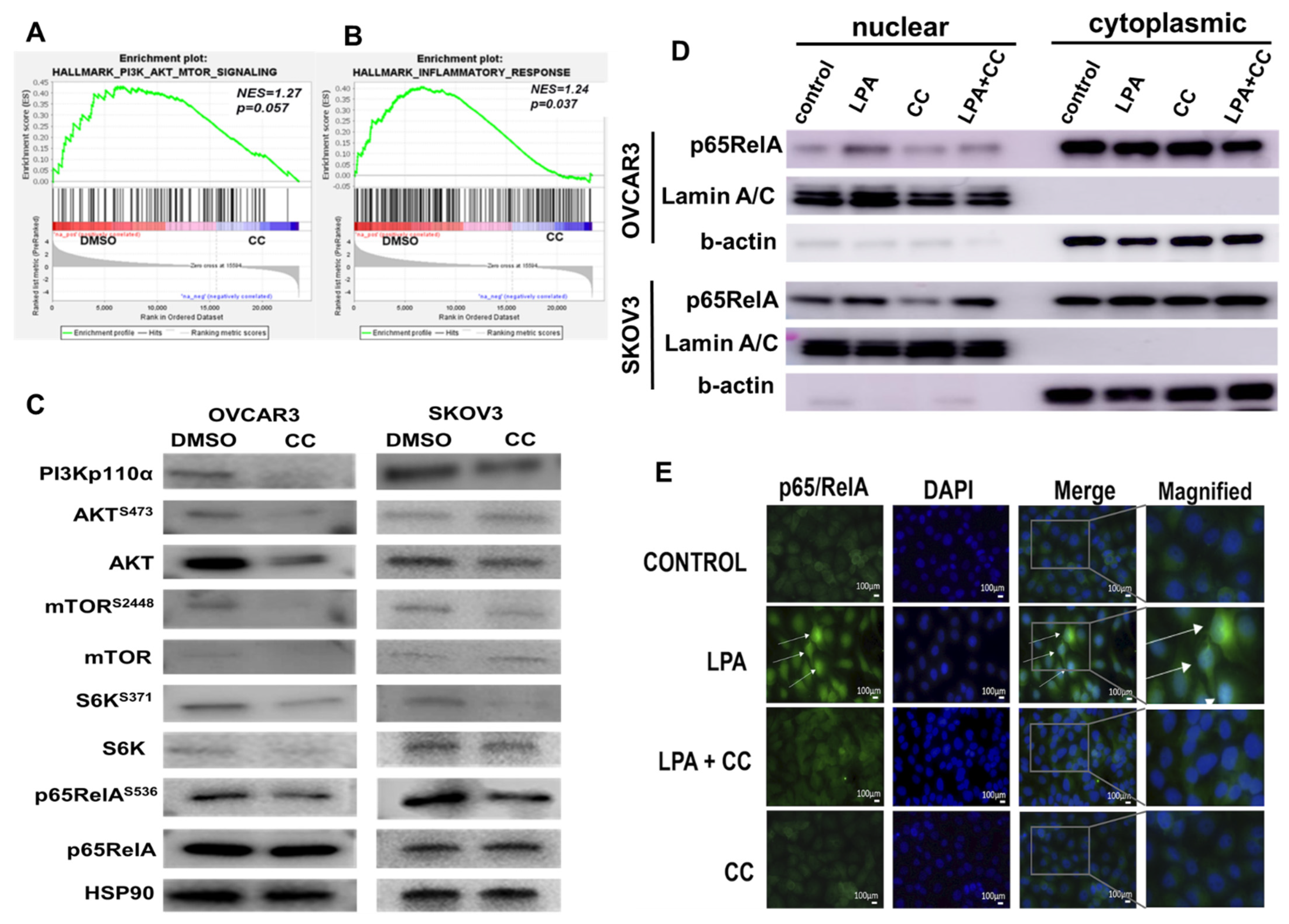 Cancers 14 05099 g004