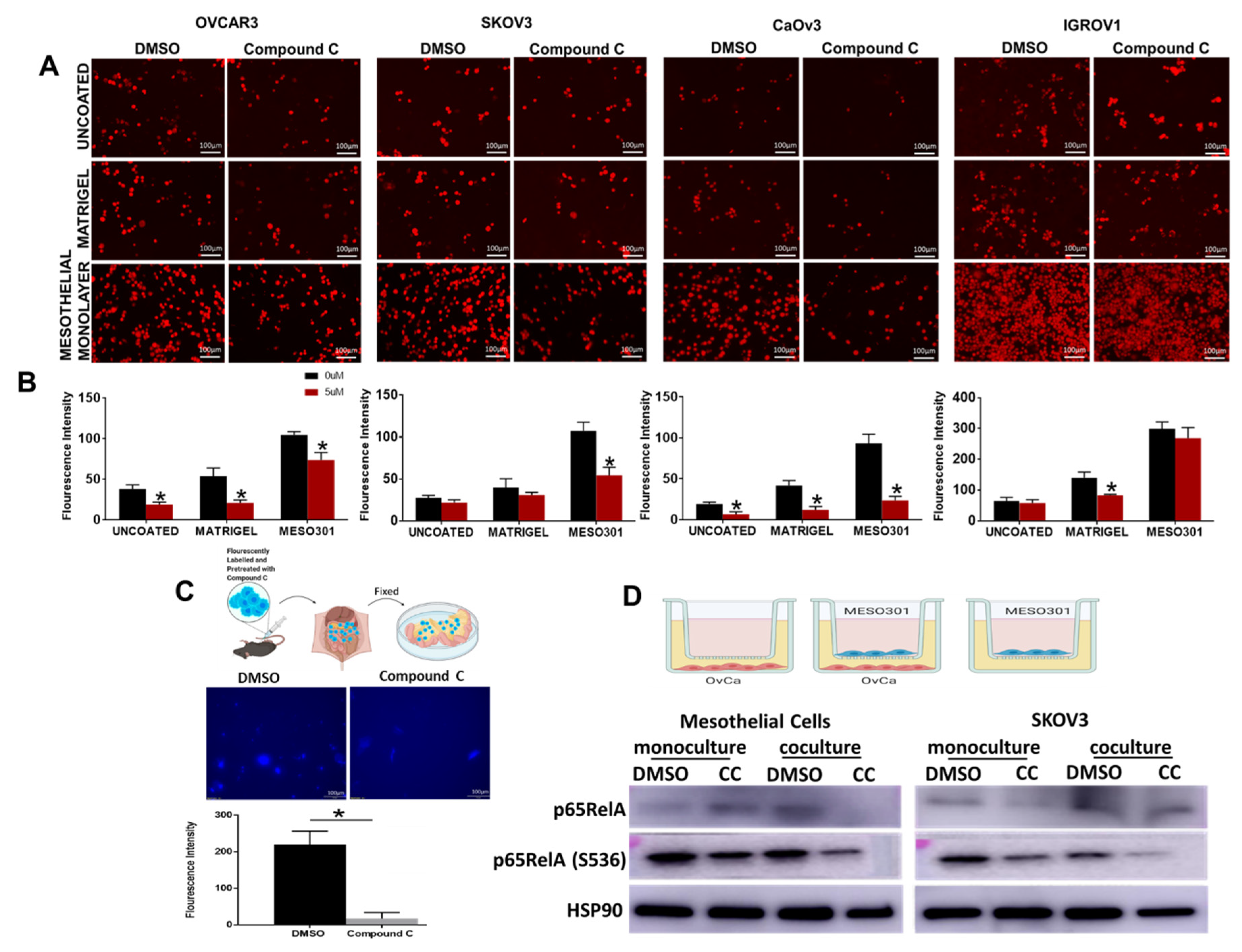 Cancers 14 05099 g007