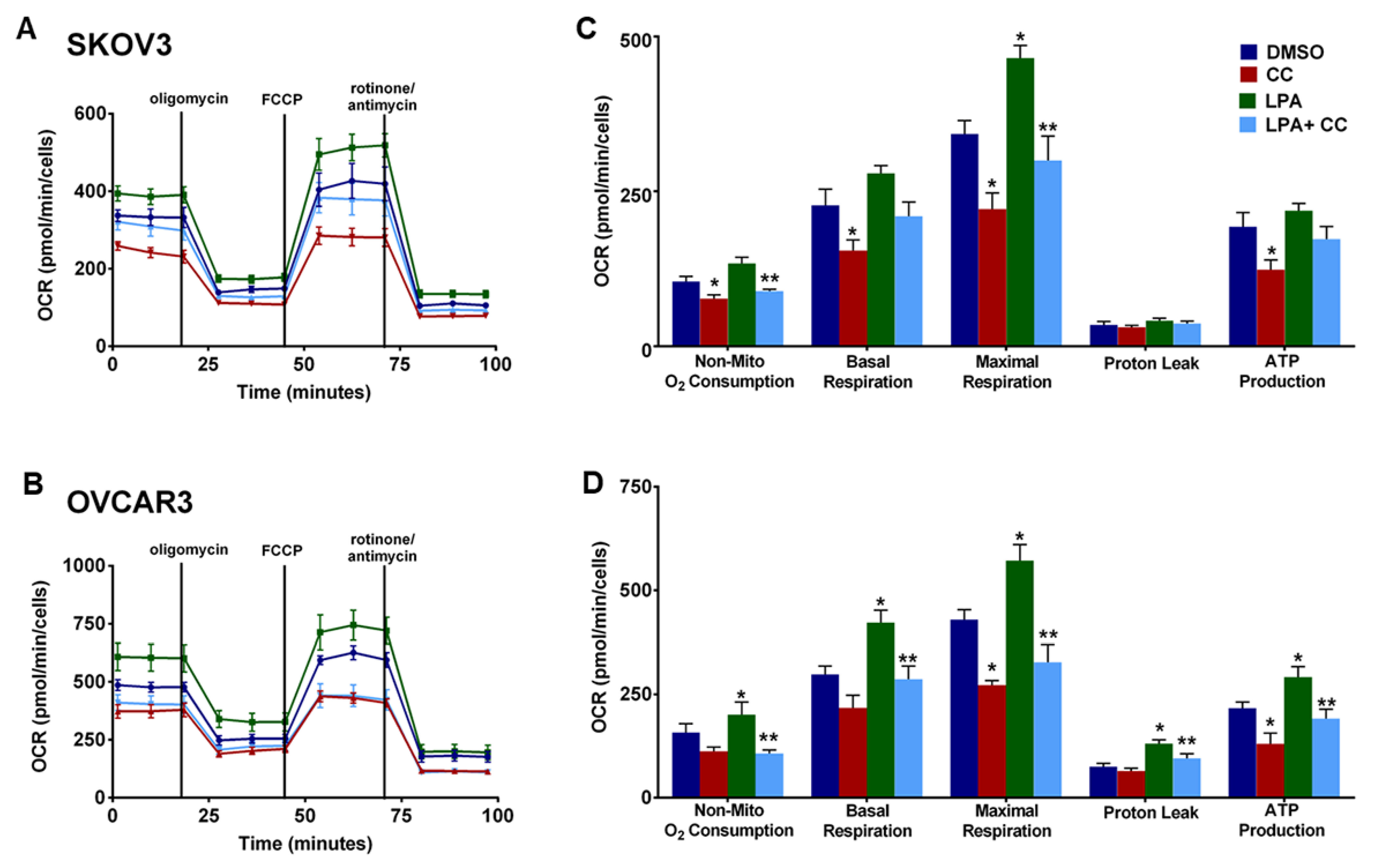 Cancers 14 05099 g010