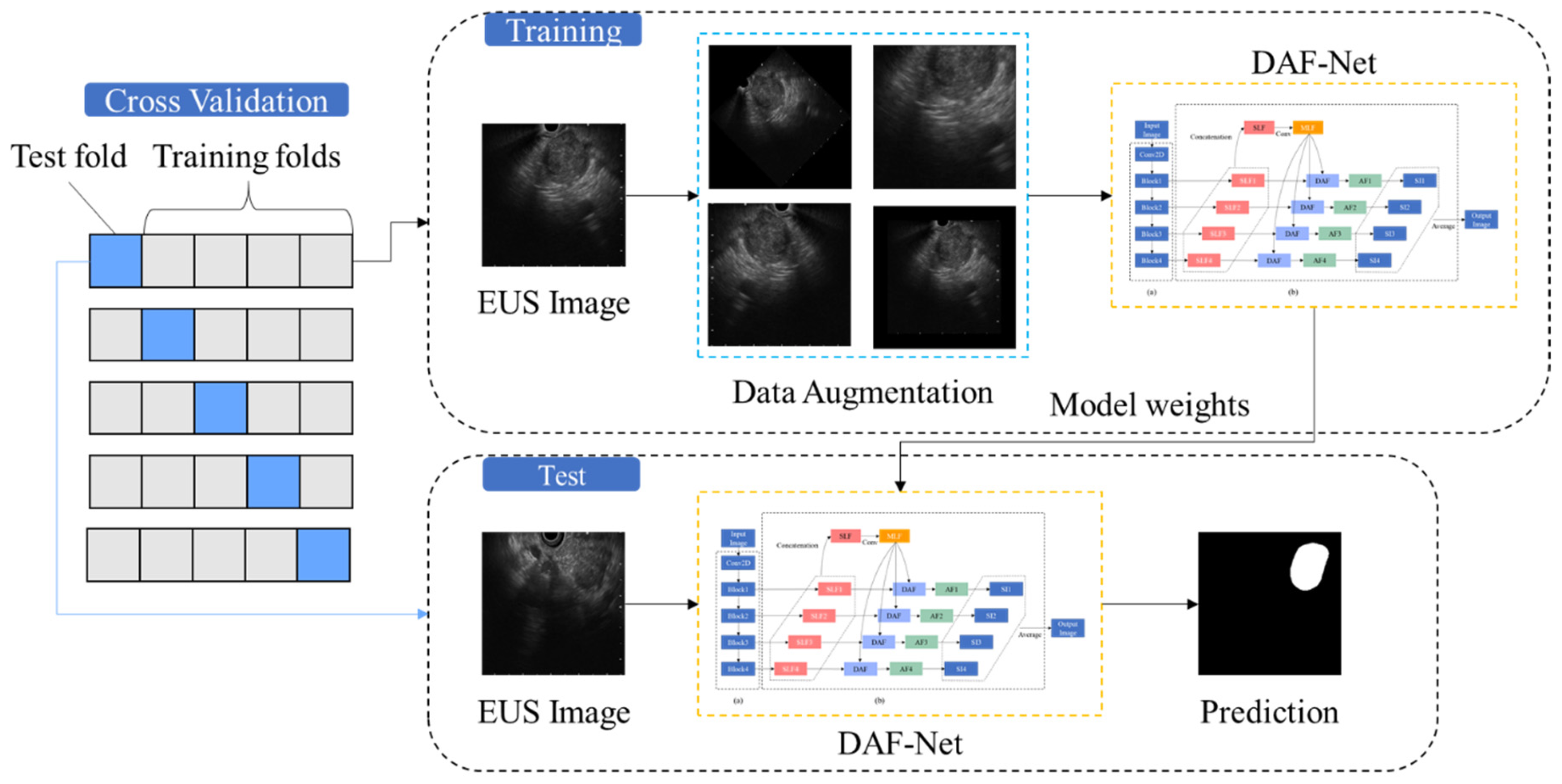 Cancers 14 05111 g001 Cancers 14 05111 g001