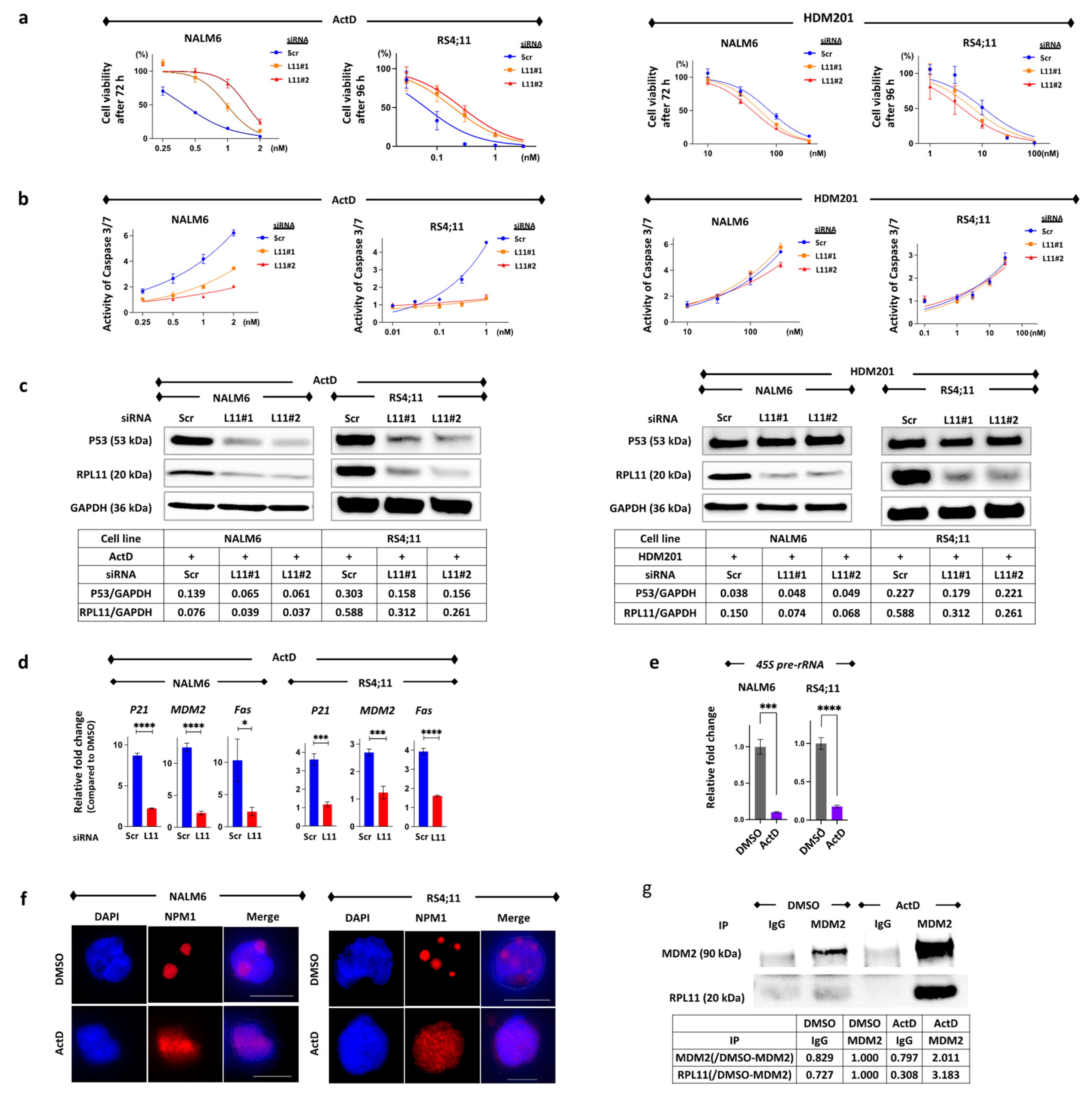 Cancers 14 05127 g001