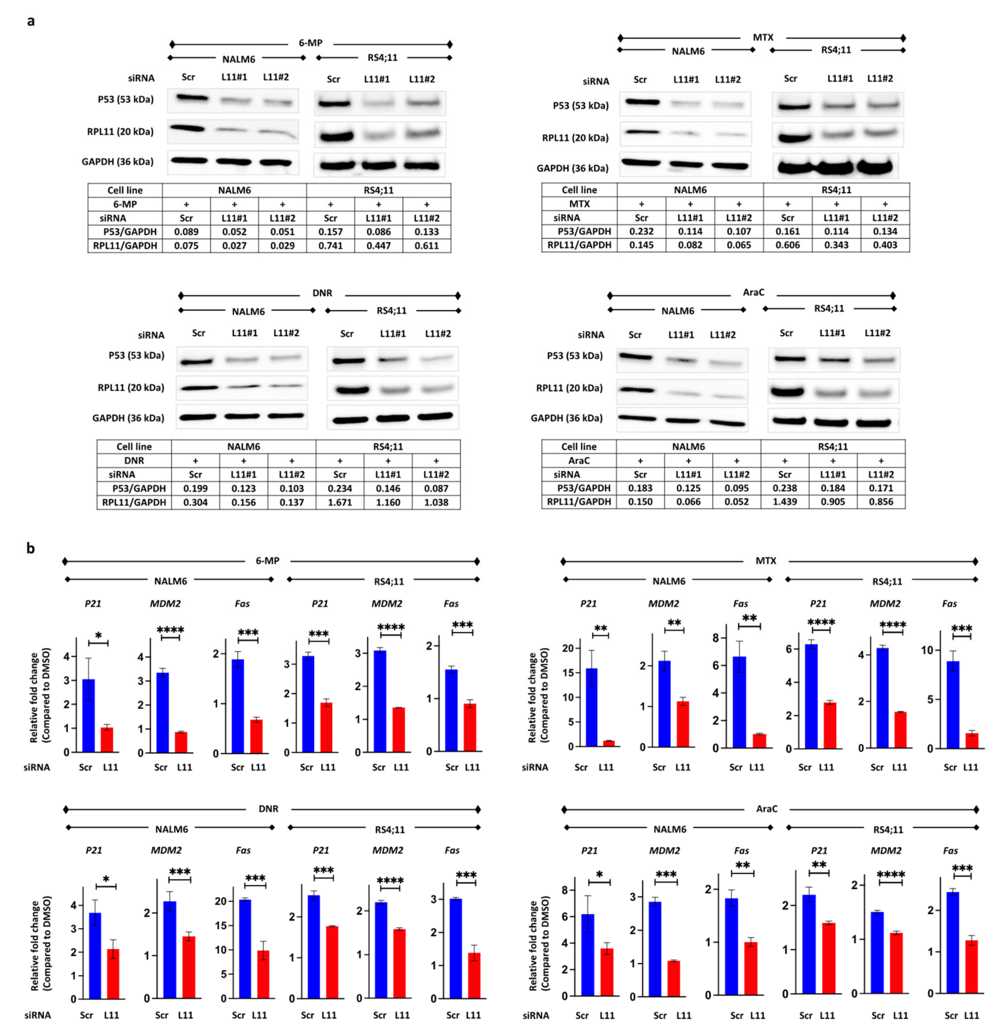 Cancers 14 05127 g003