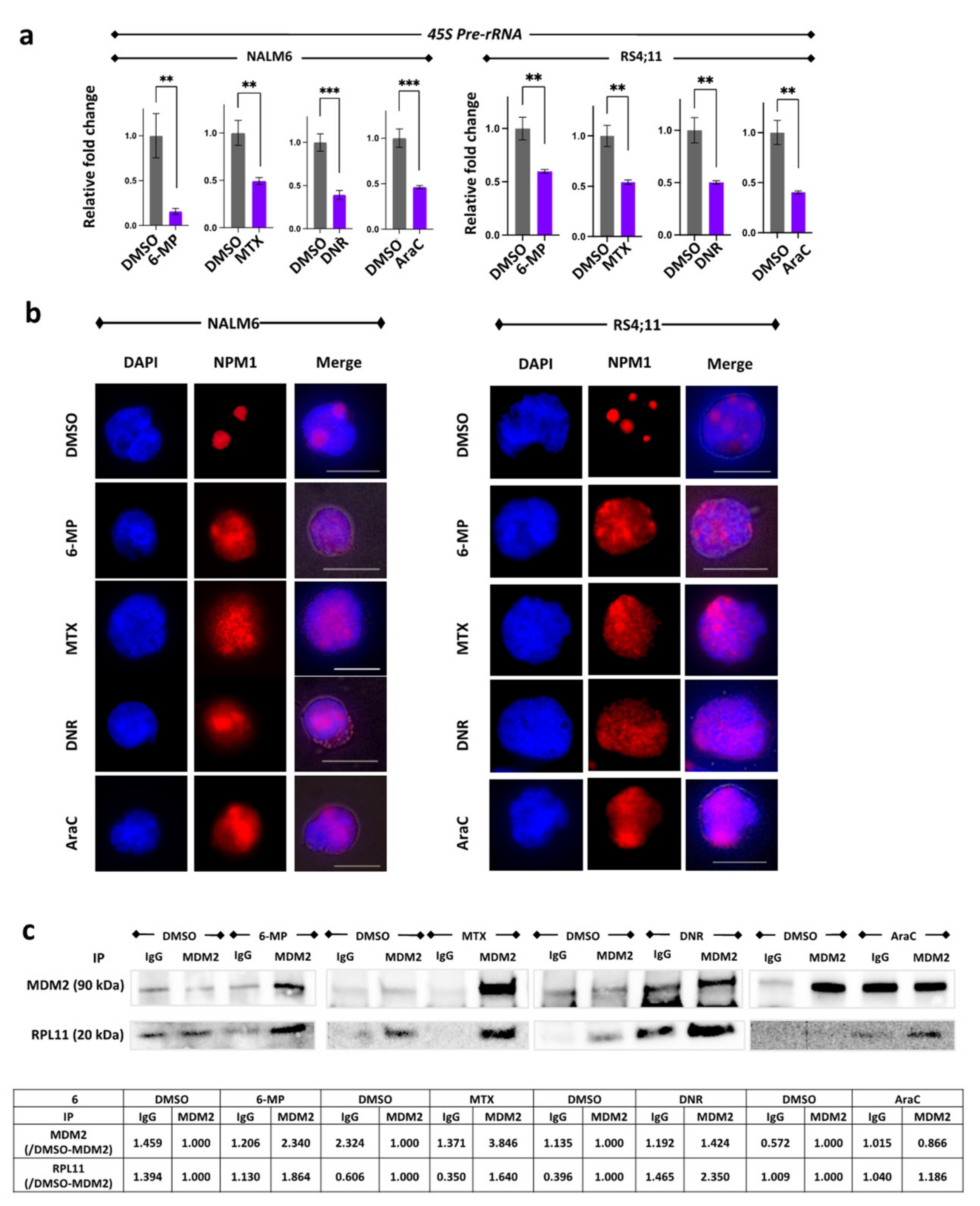 Cancers 14 05127 g004