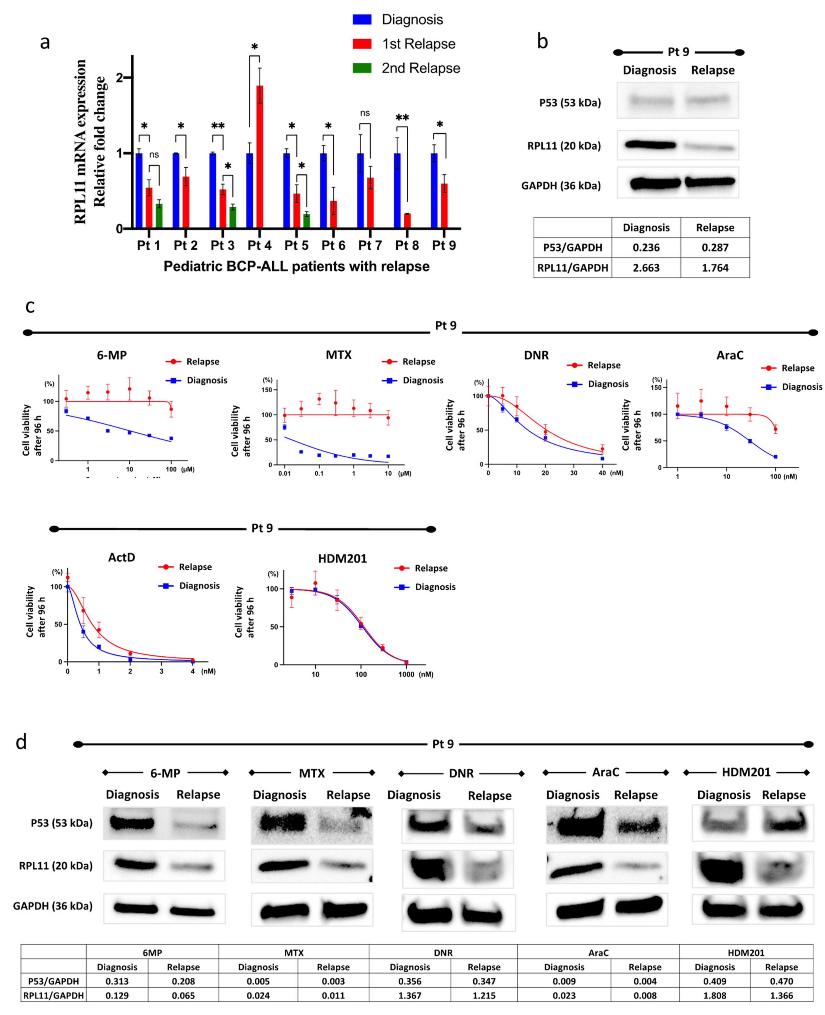 Cancers 14 05127 g005