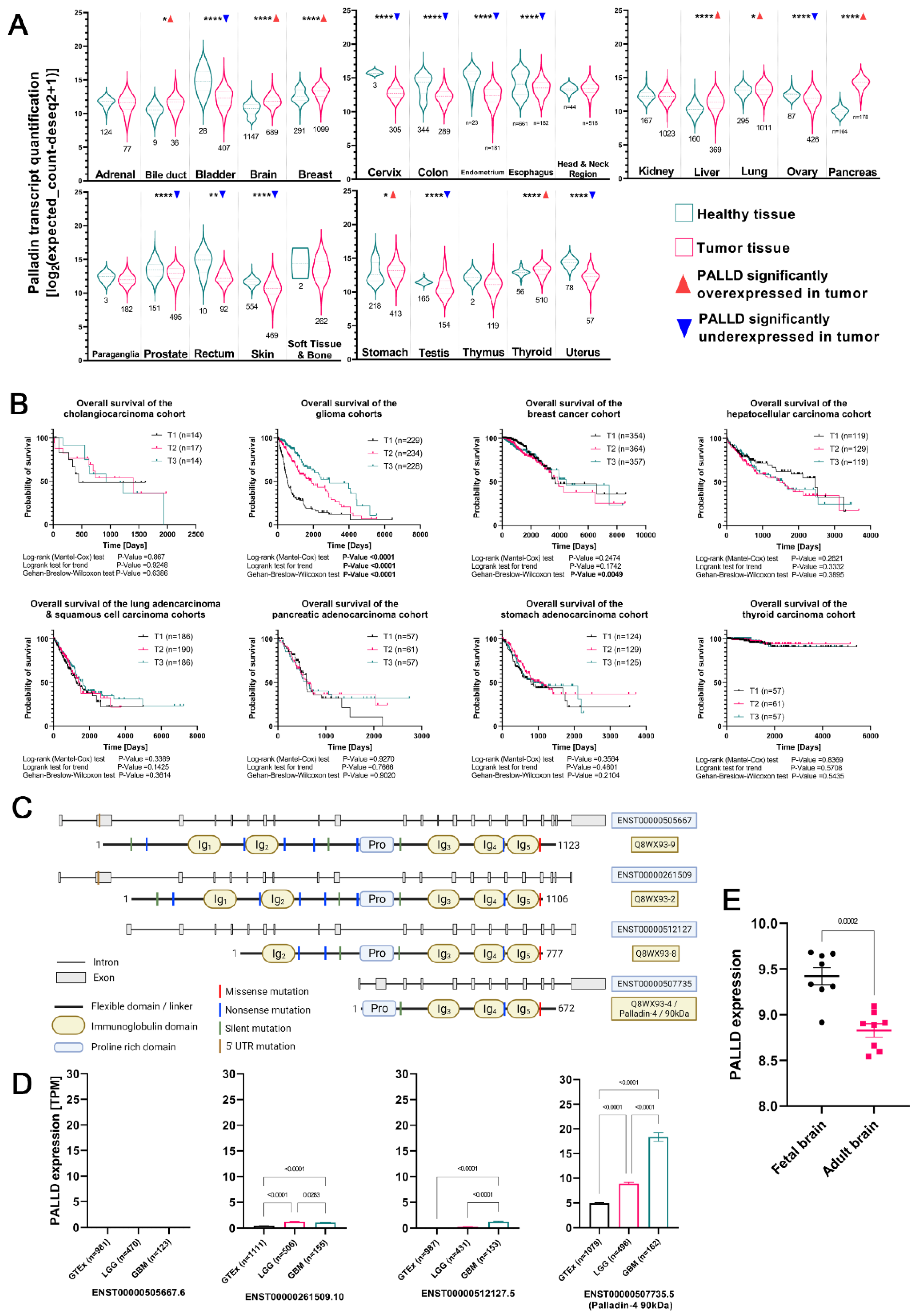 Cancers 14 05130 g001 Cancers 14 05130 g001