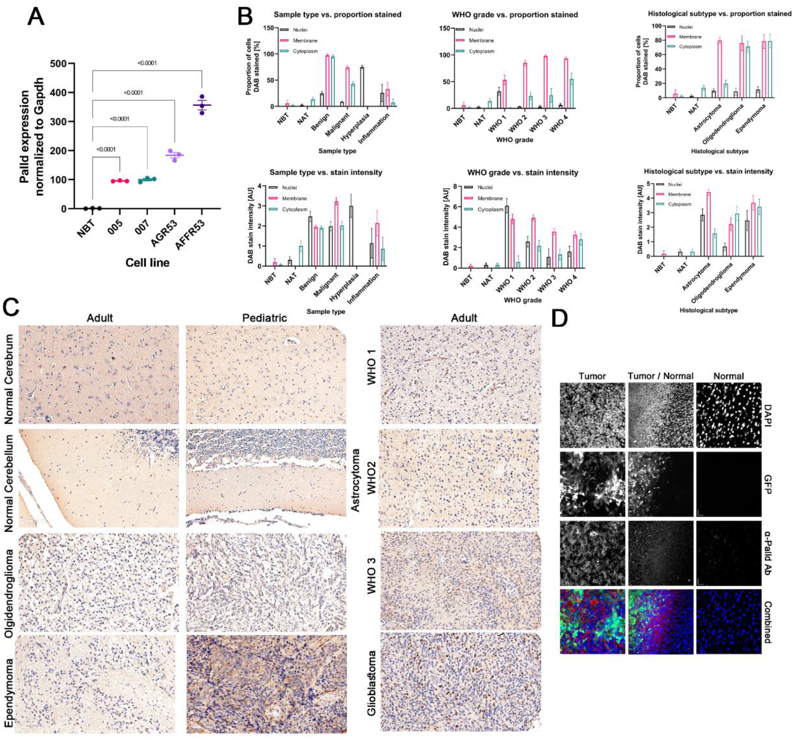 Cancers 14 05130 g002 Cancers 14 05130 g002