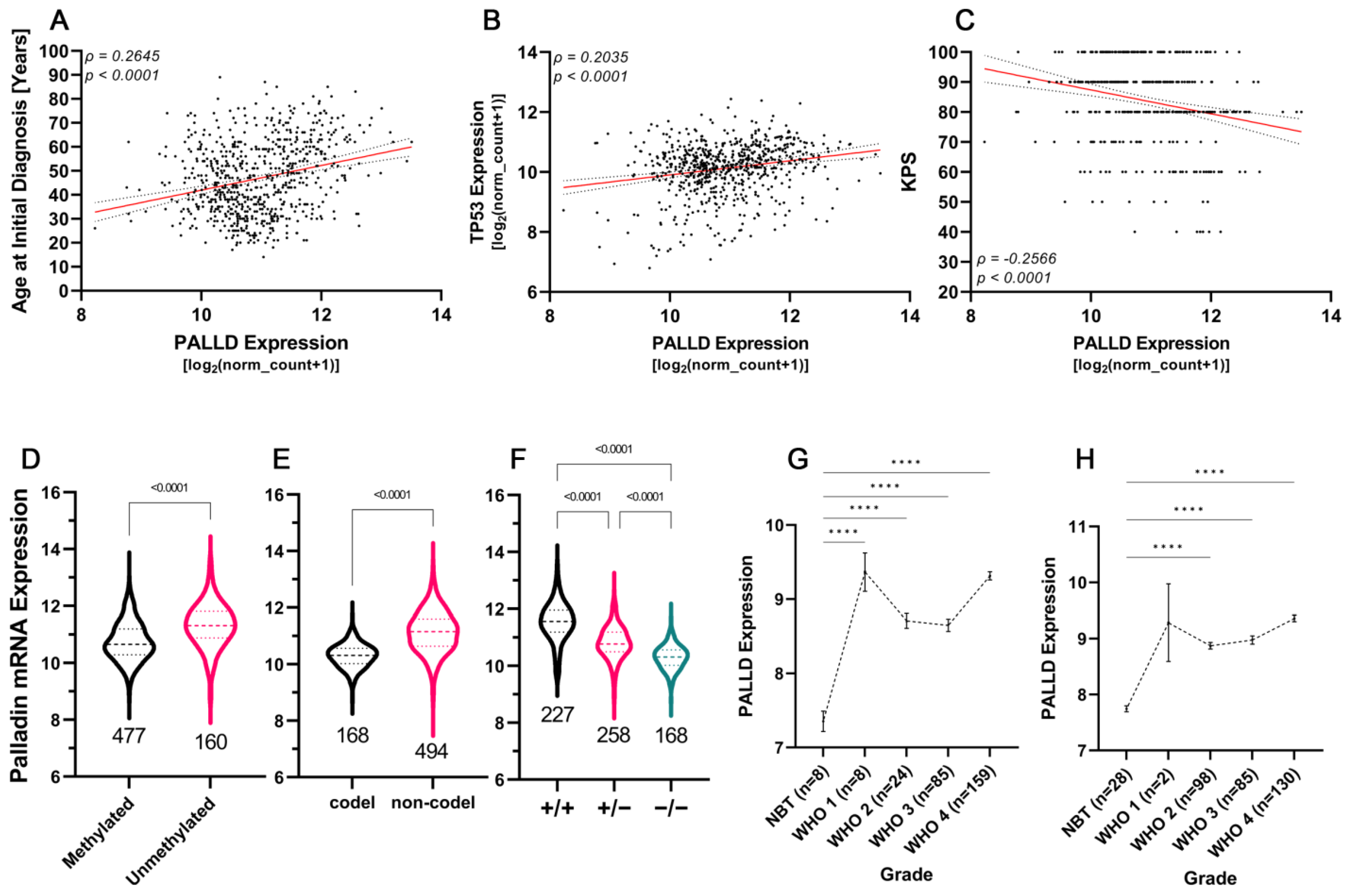 Cancers 14 05130 g004 Cancers 14 05130 g004