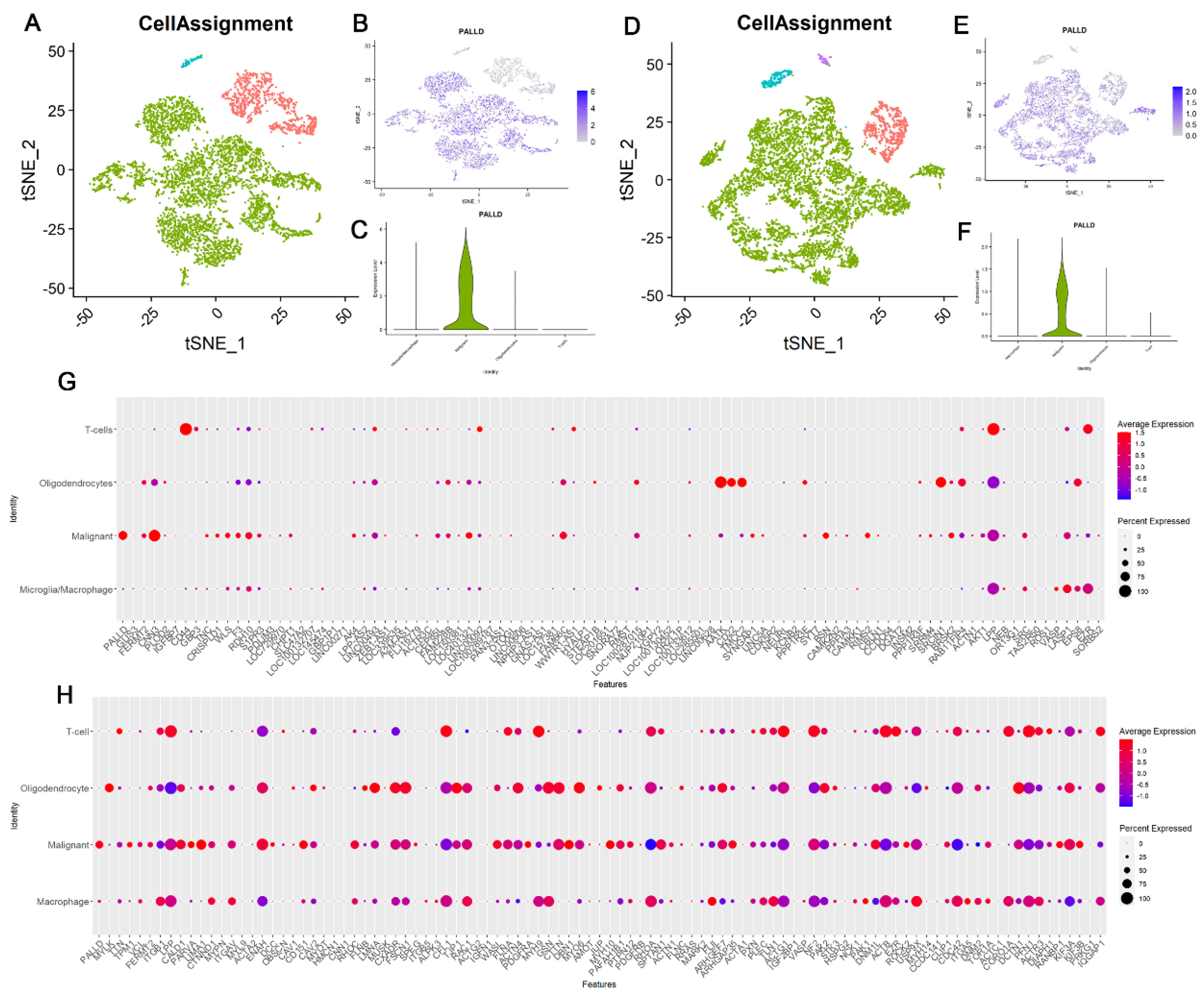 Cancers 14 05130 g005 Cancers 14 05130 g005