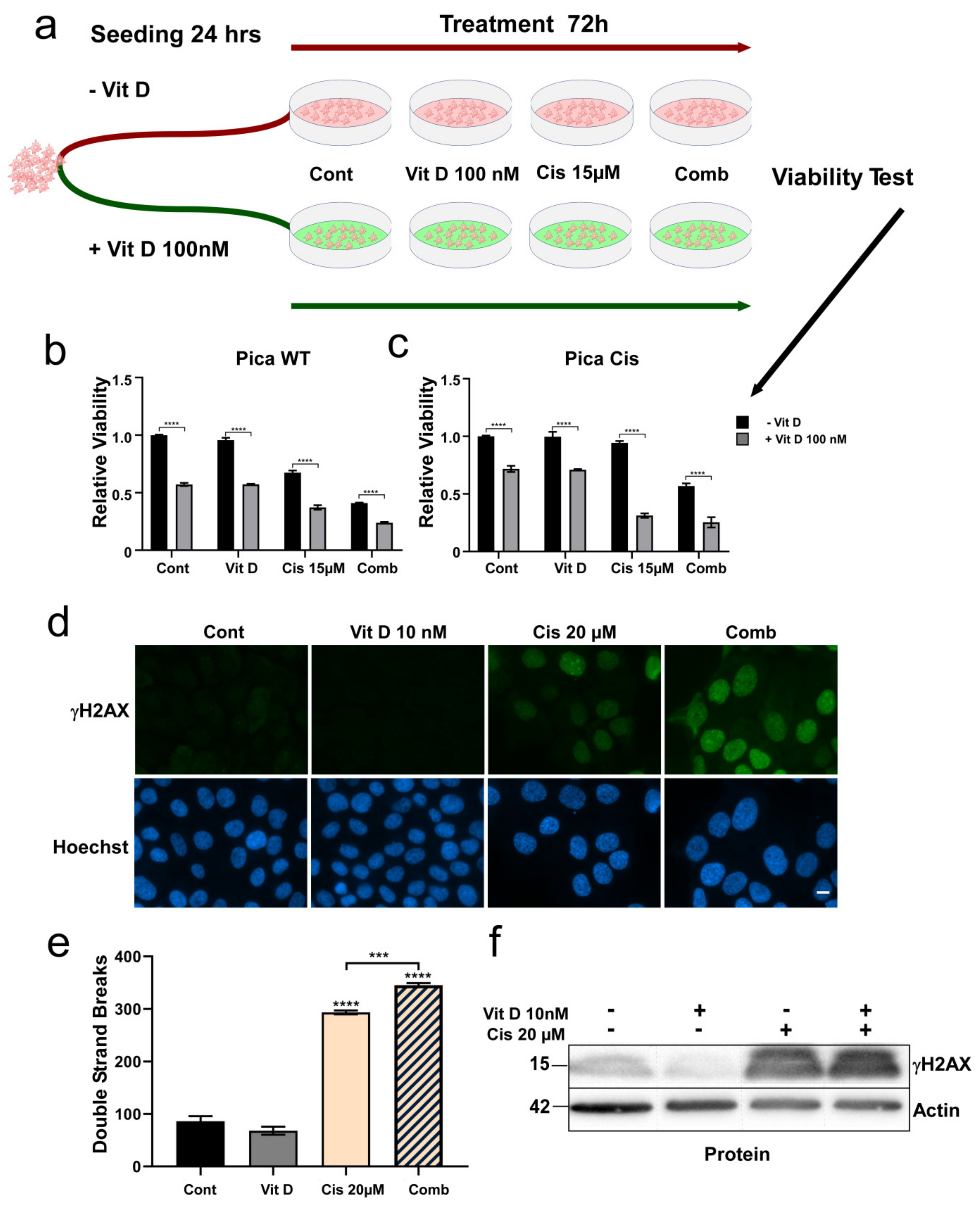 Cancers 14 05131 g003 Cancers 14 05131 g003