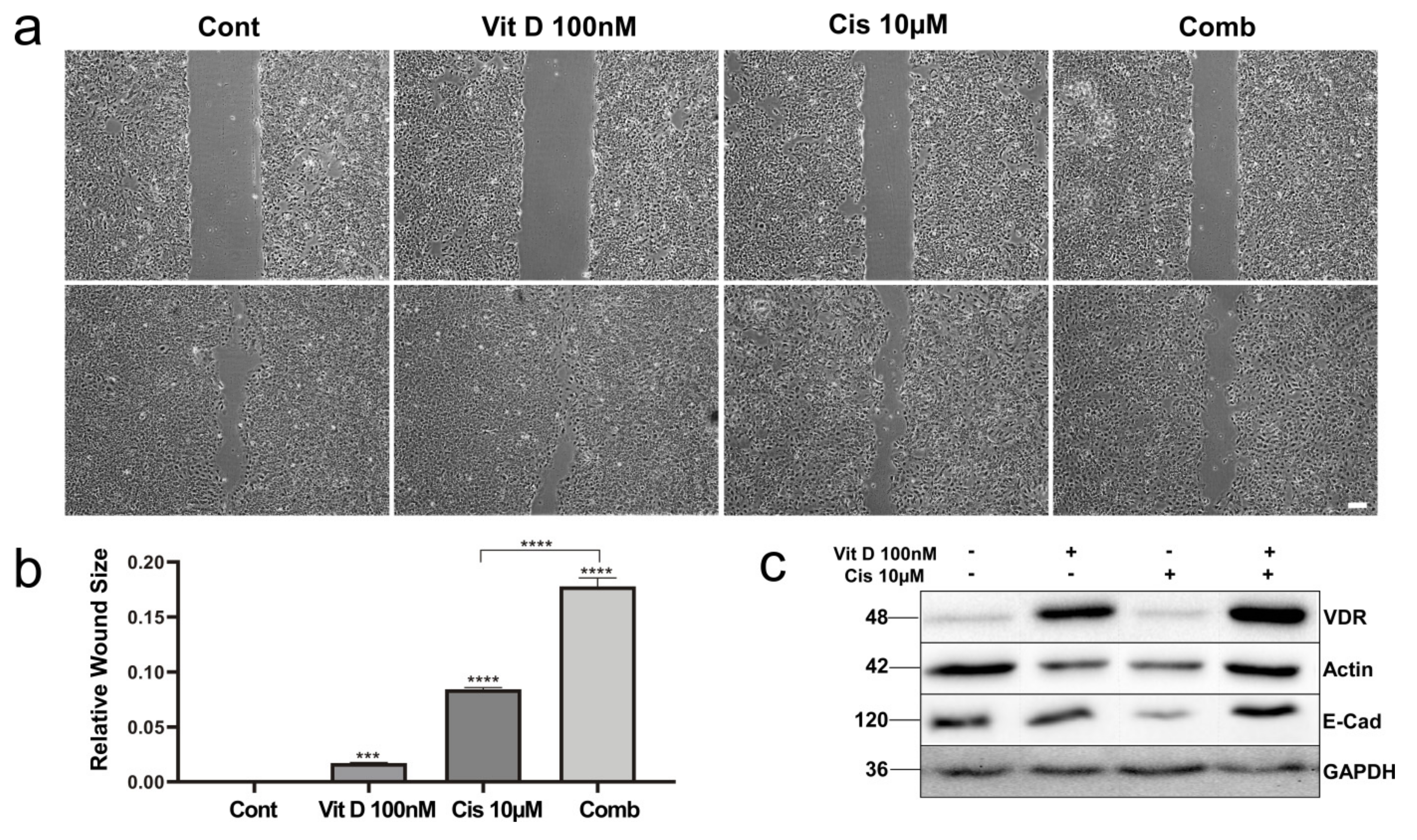 Cancers 14 05131 g004 Cancers 14 05131 g004