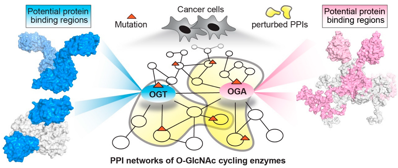 Cancers 14 05135 g005