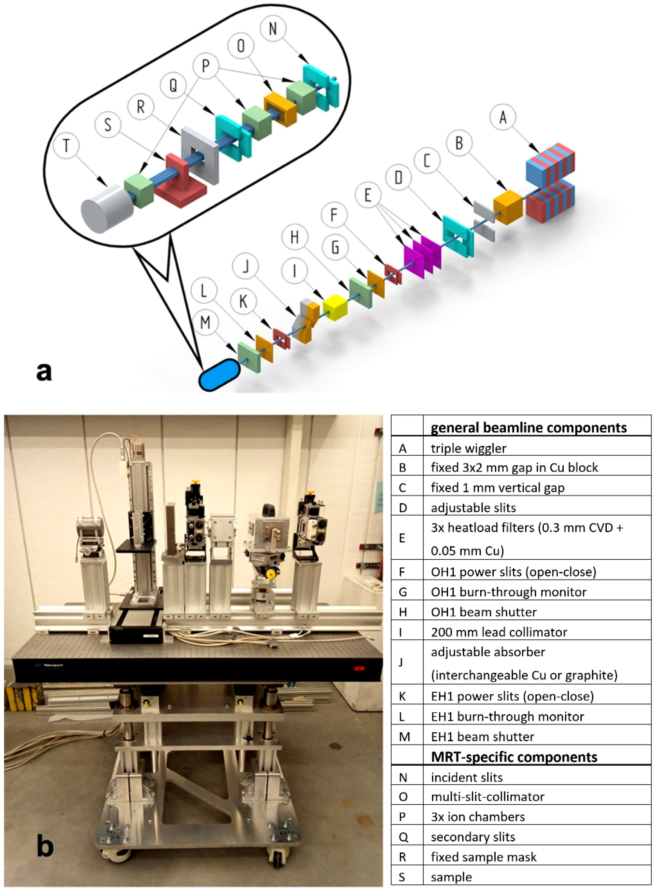 Cancers 14 05137 g001
