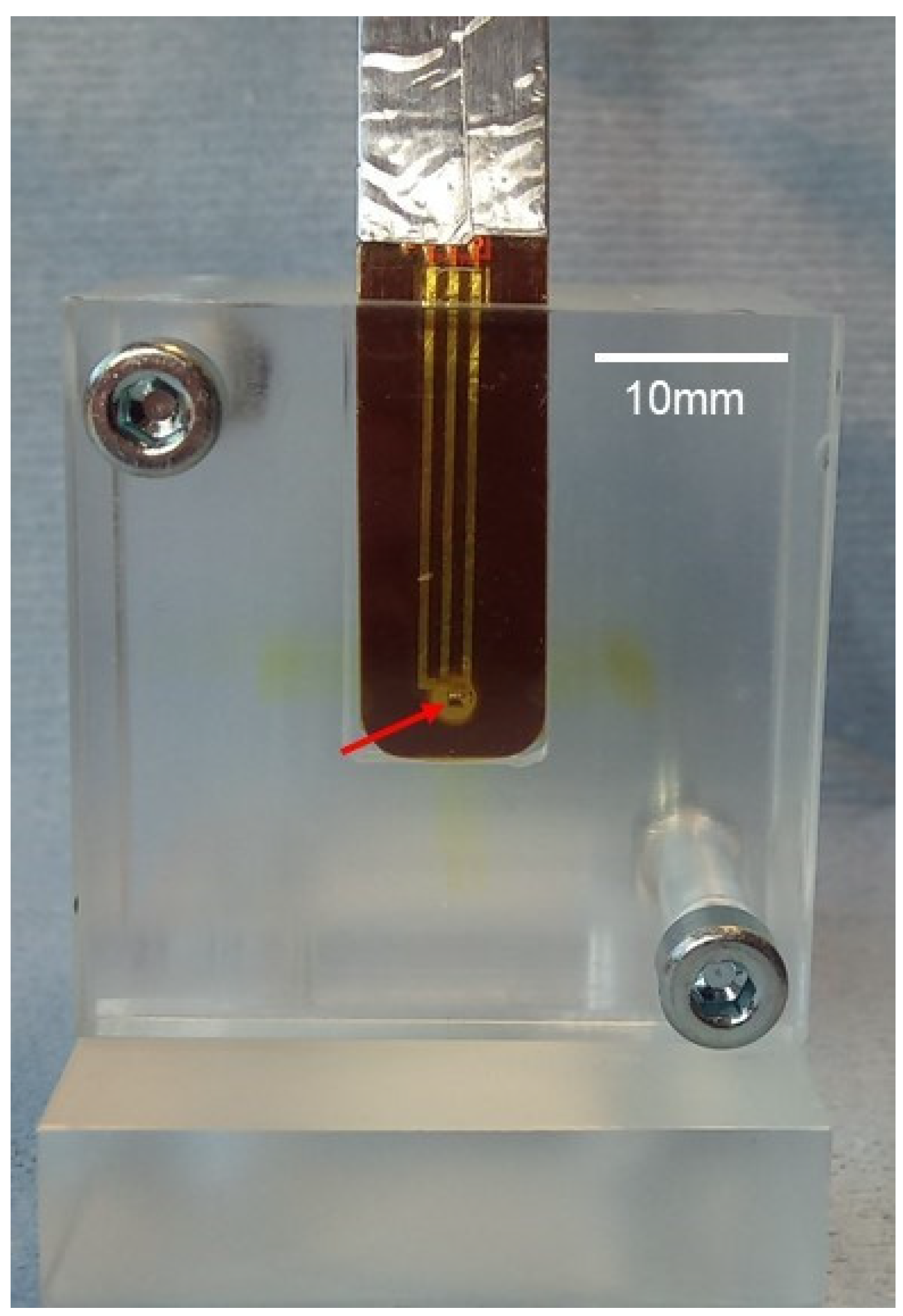 Cancers 14 05137 g003