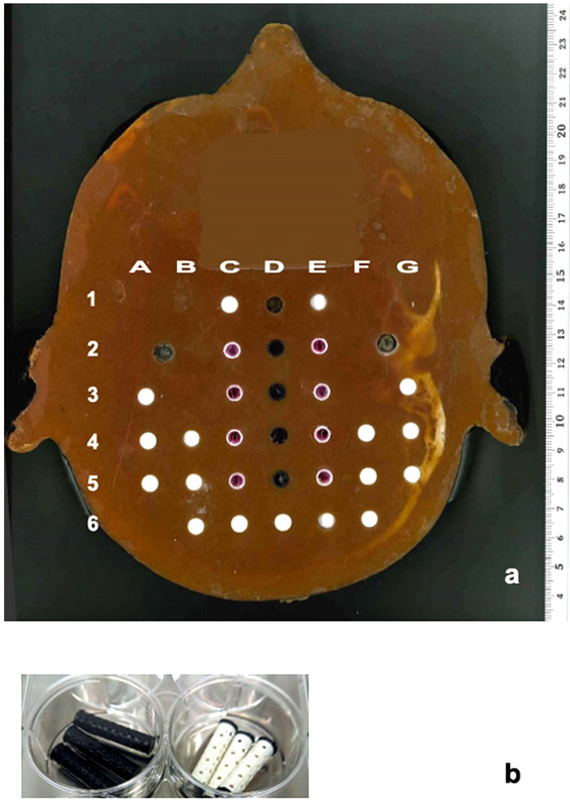 Cancers 14 05137 g008