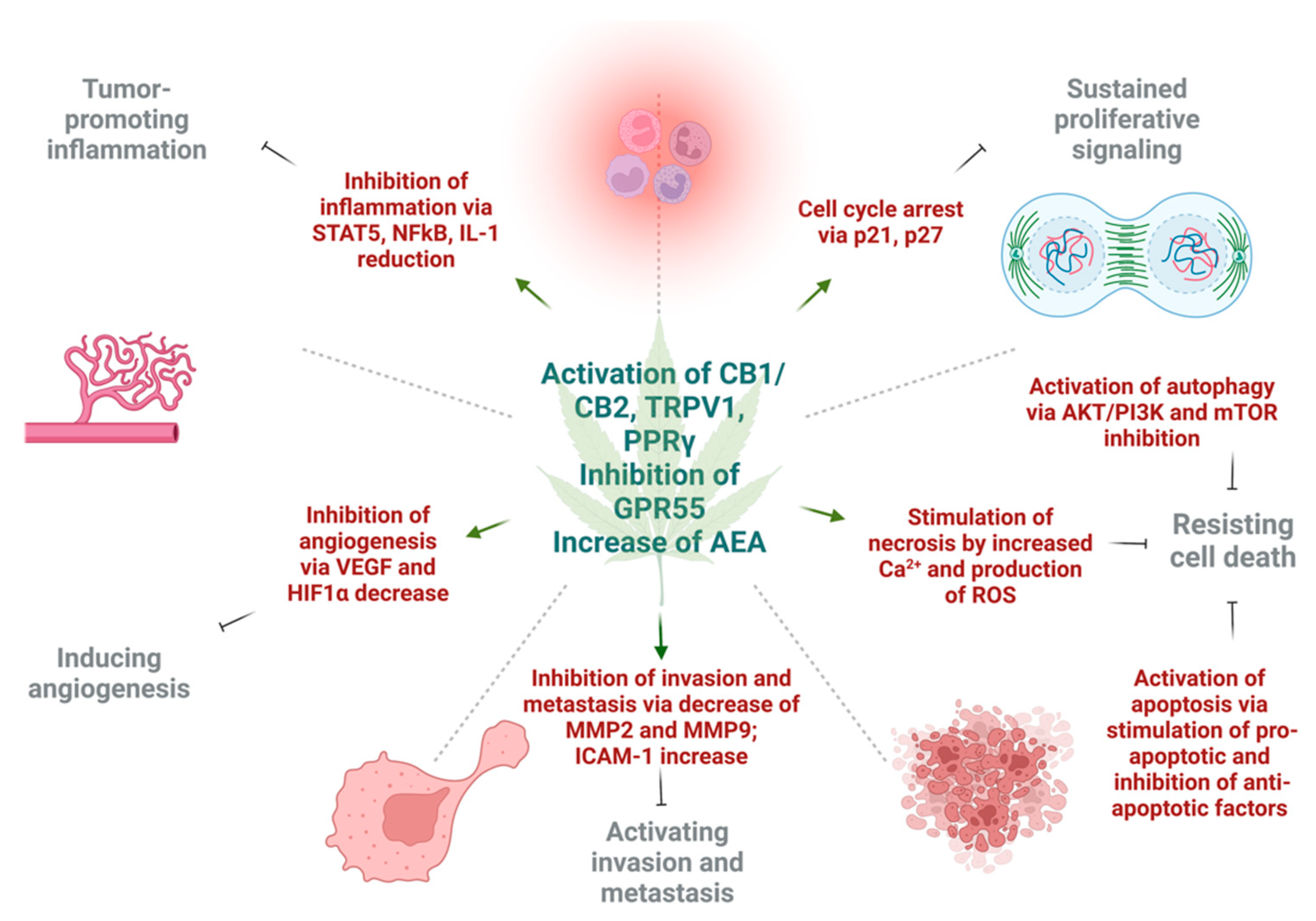 Cancers 14 05142 g002 Cancers 14 05142 g002