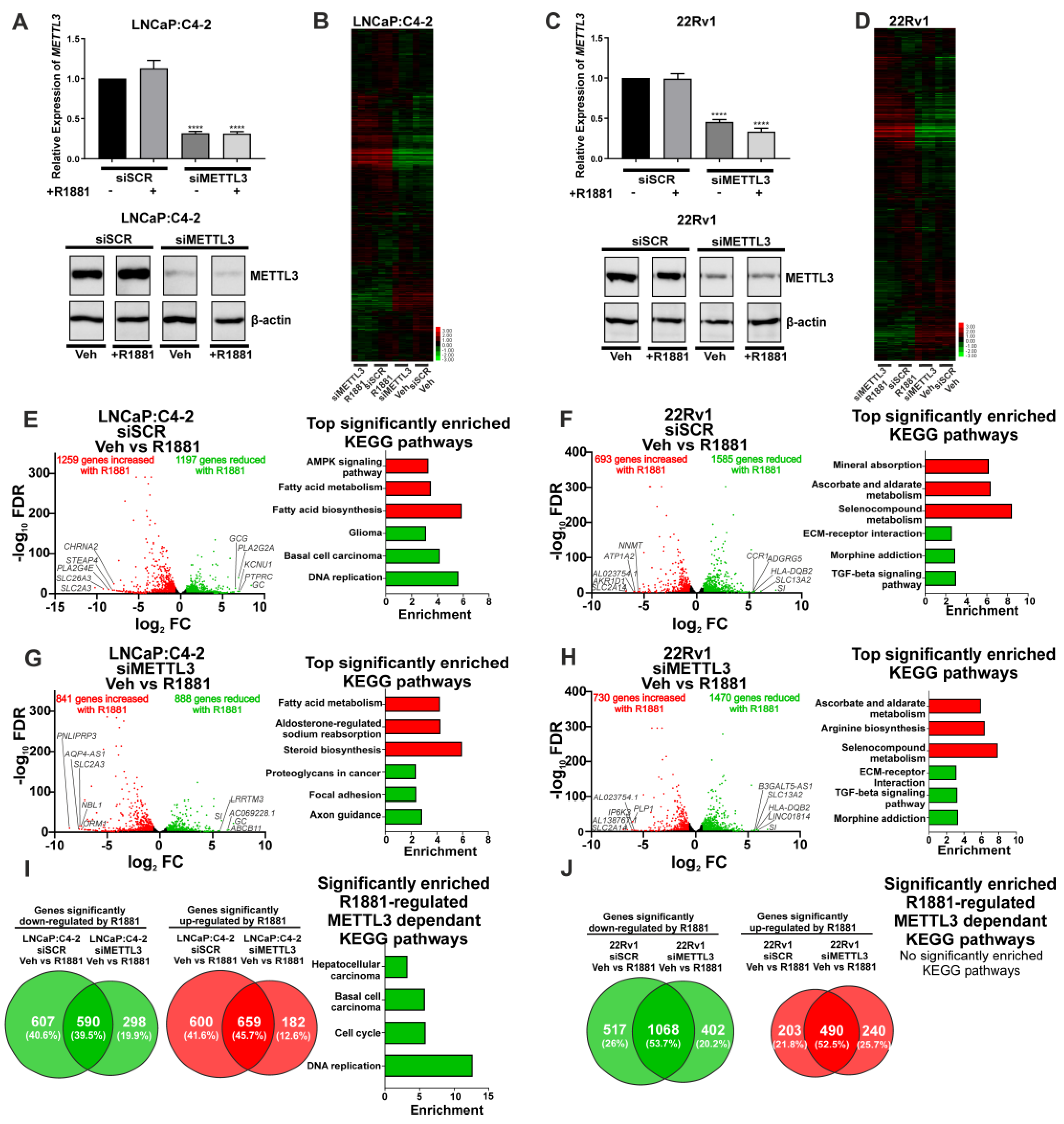 Cancers 14 05148 g004 Cancers 14 05148 g004