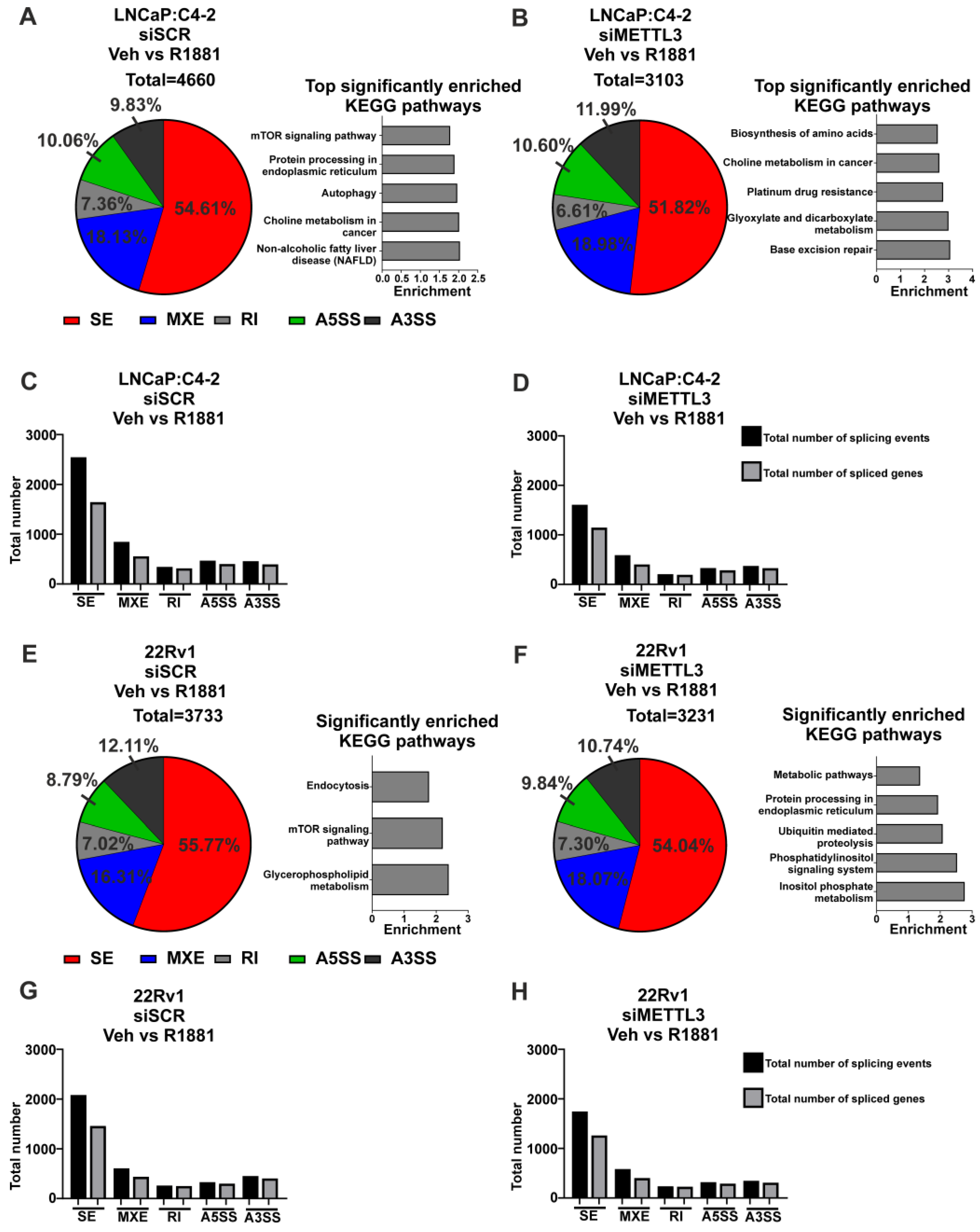 Cancers 14 05148 g005 Cancers 14 05148 g005