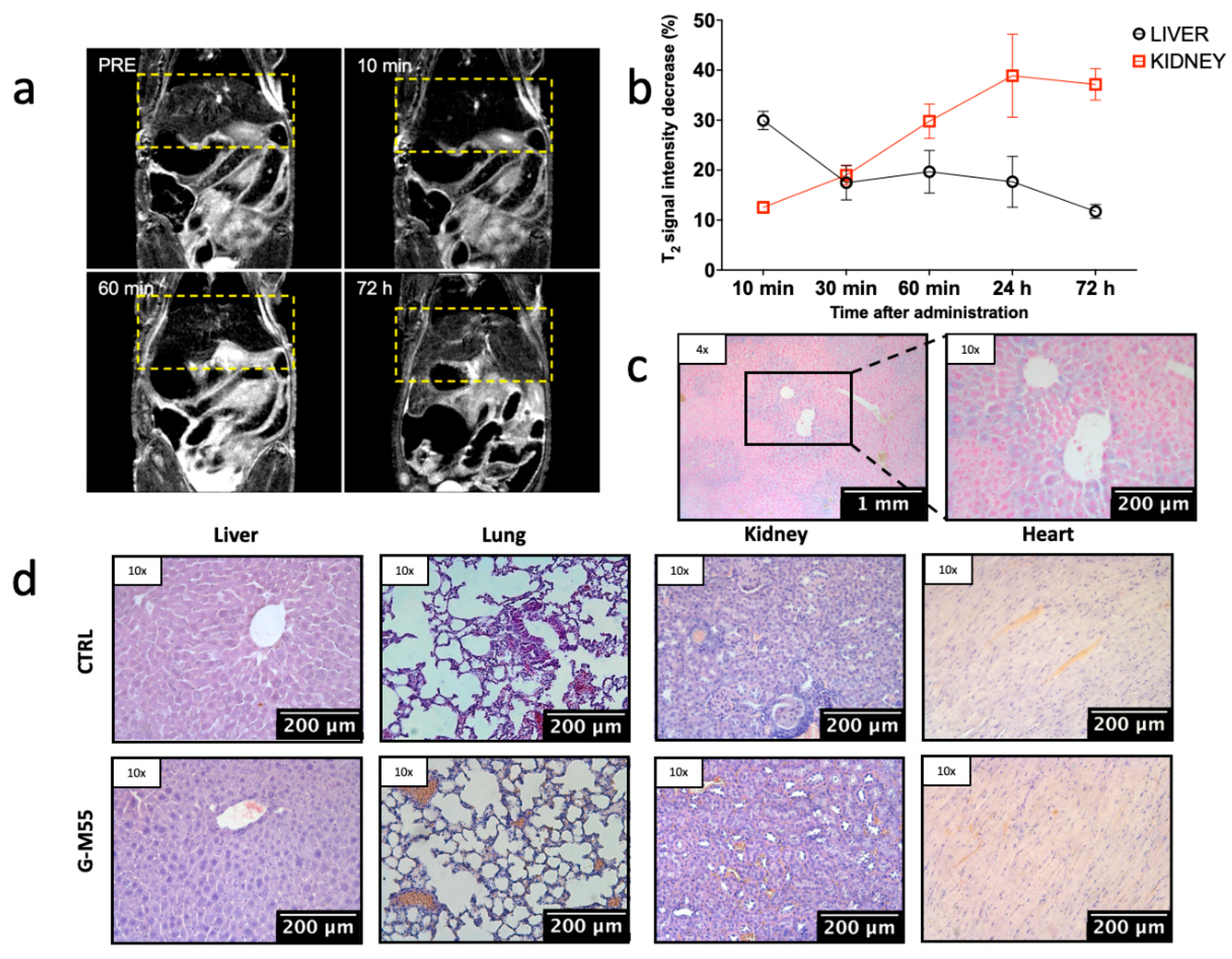 Cancers 14 05150 g005