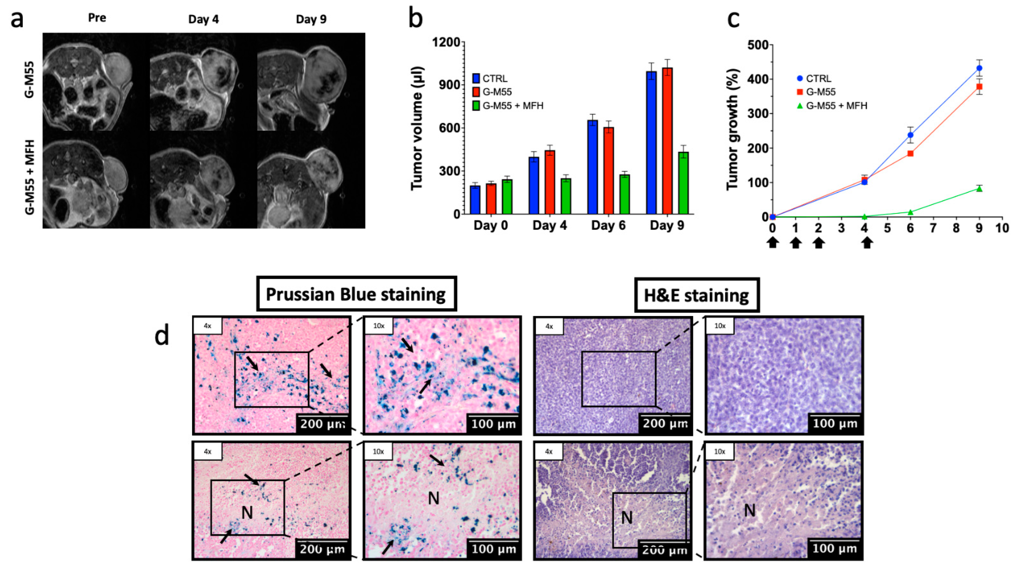 Cancers 14 05150 g006