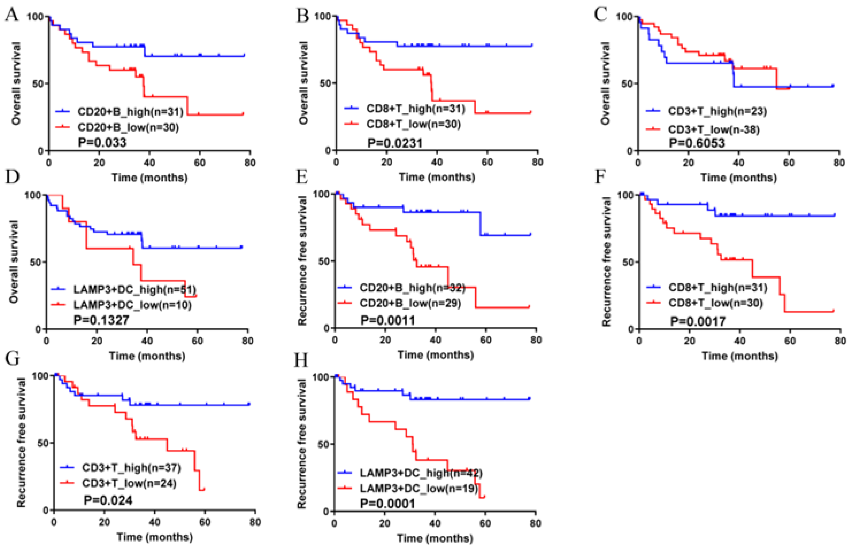 Cancers 14 05157 g004 Cancers 14 05157 g004