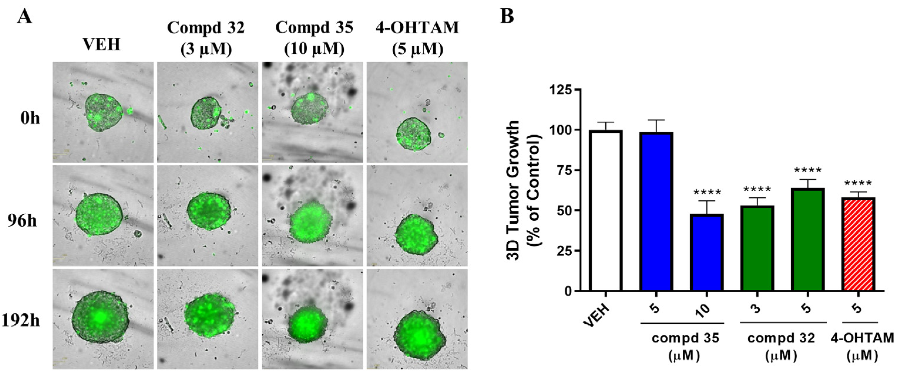 Cancers 14 05174 g007 Cancers 14 05174 g007