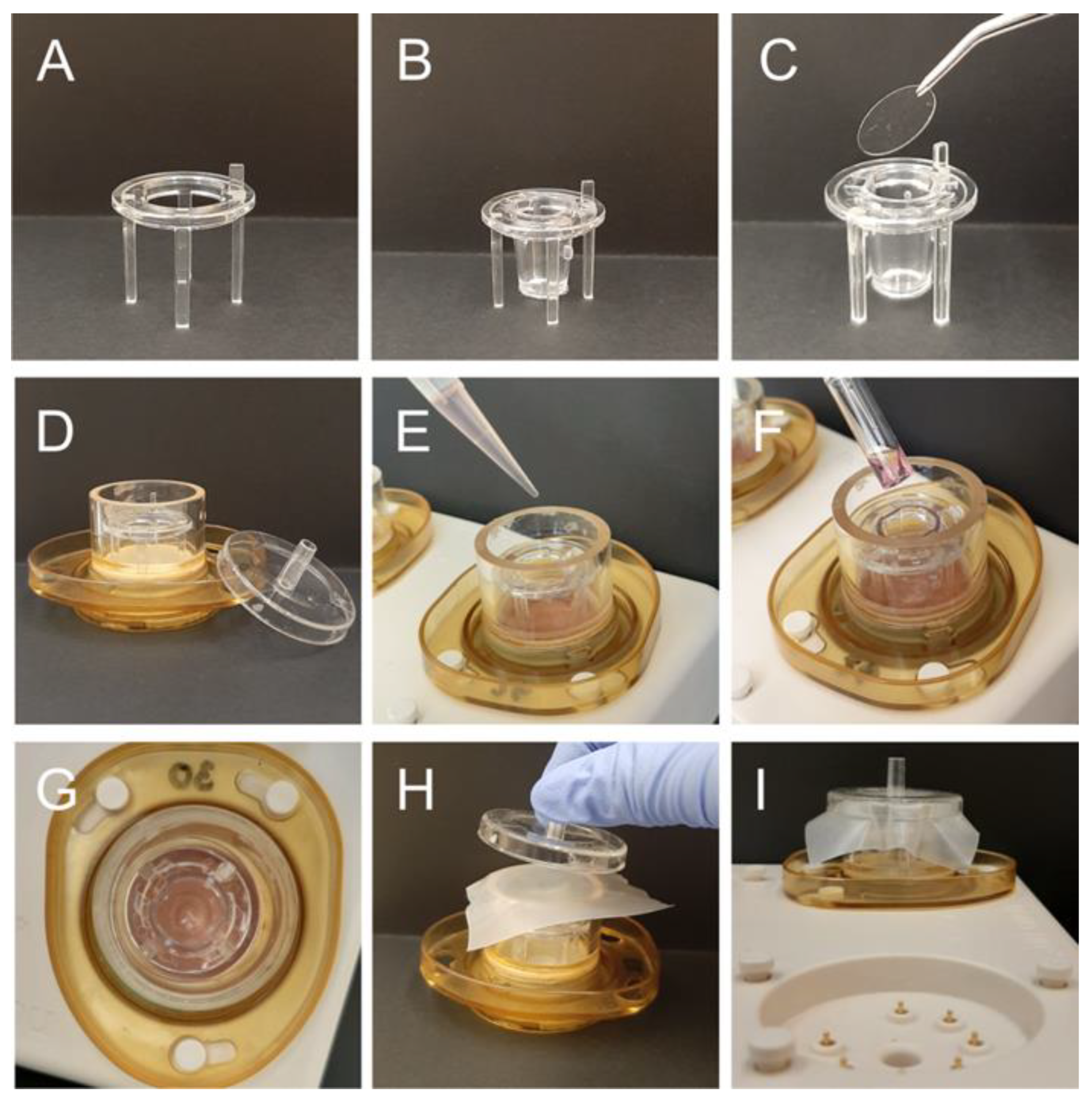 Cancers 14 05177 g003 Cancers 14 05177 g003