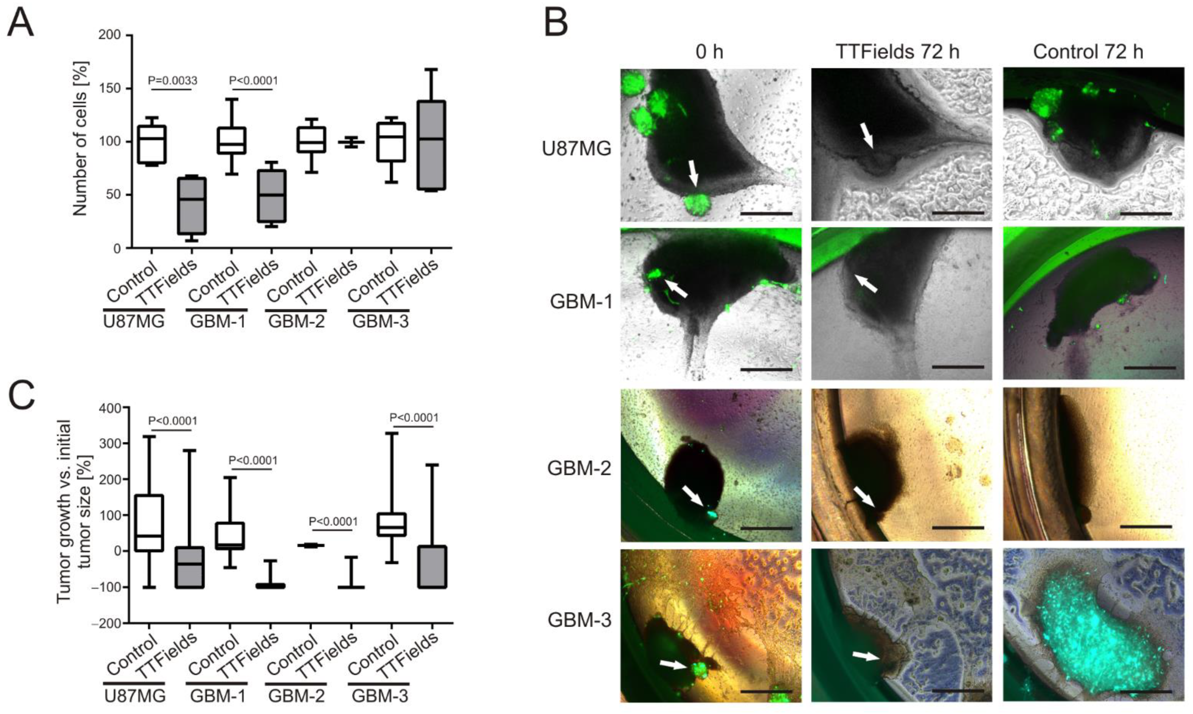 Cancers 14 05177 g004 Cancers 14 05177 g004