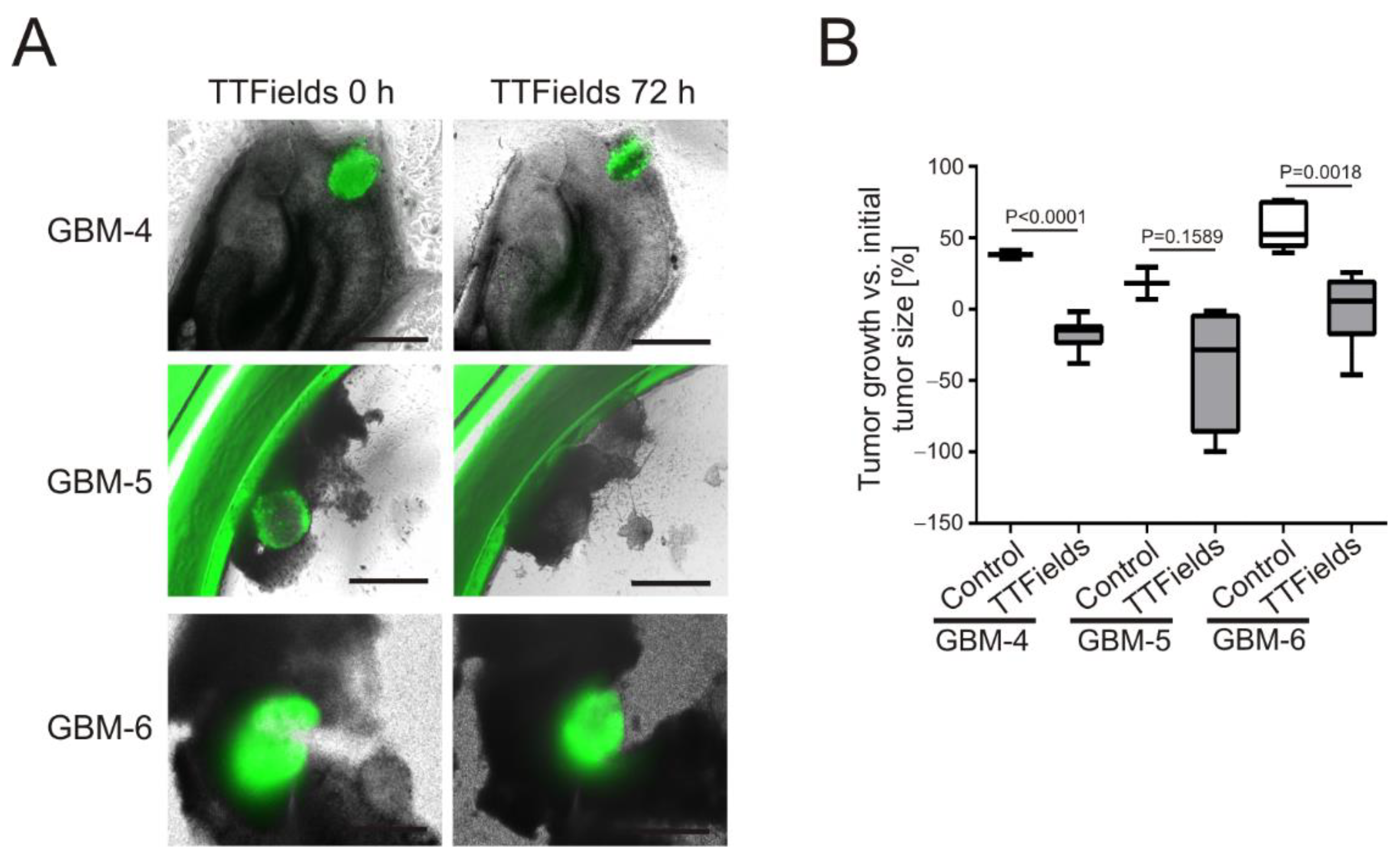 Cancers 14 05177 g005 Cancers 14 05177 g005