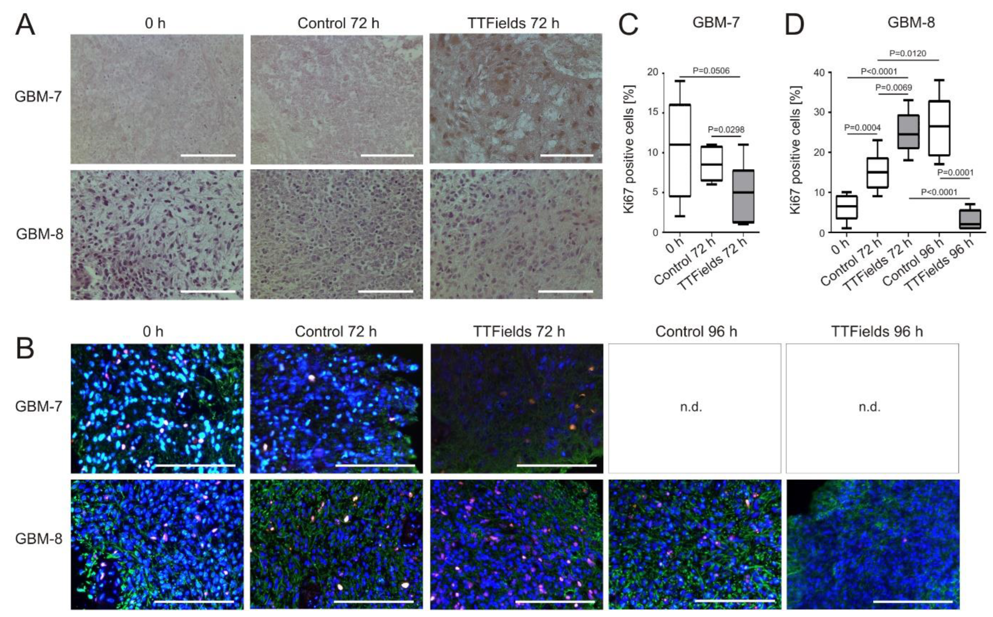 Cancers 14 05177 g006 Cancers 14 05177 g006