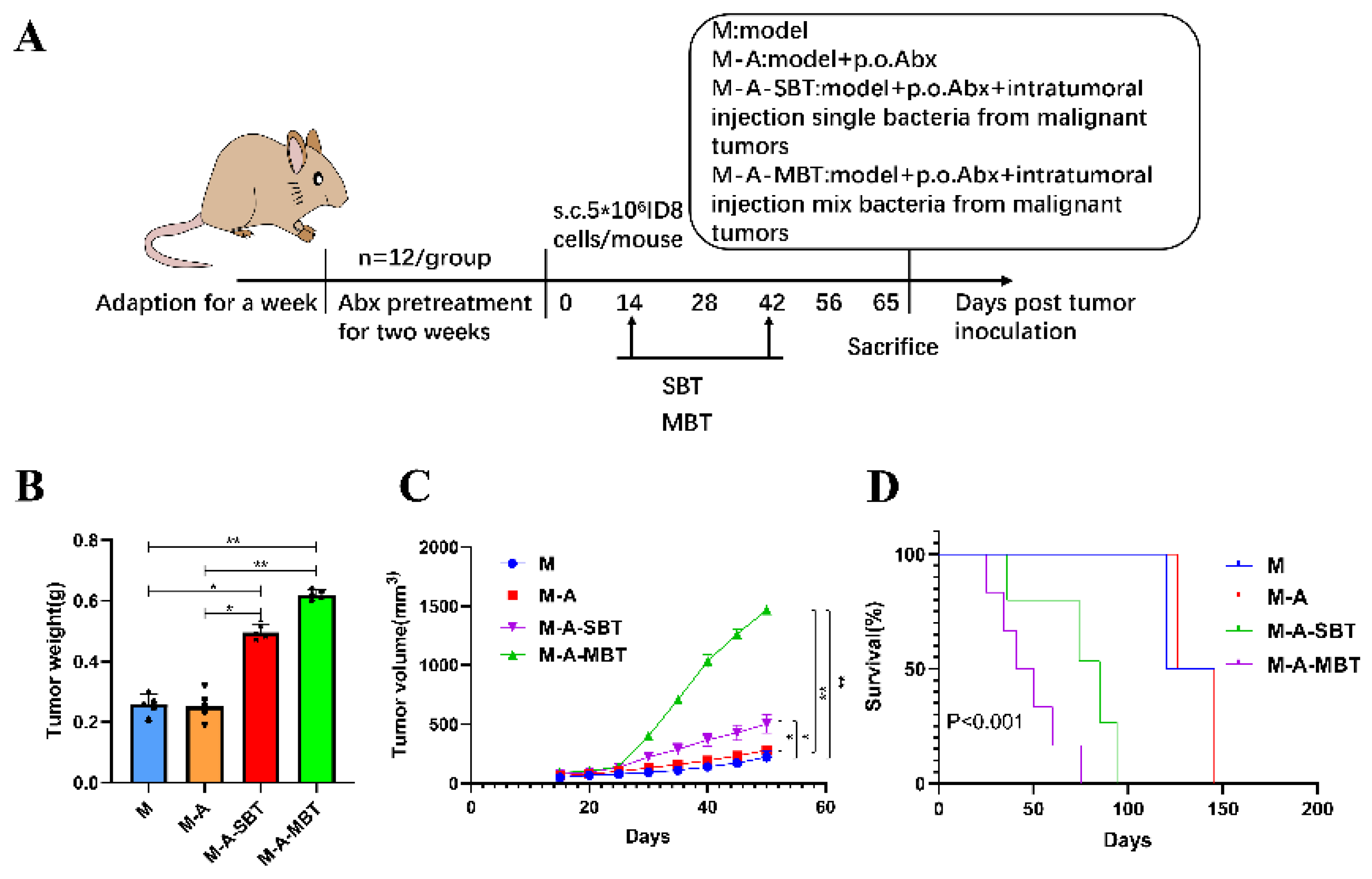 Cancers 14 05178 g004
