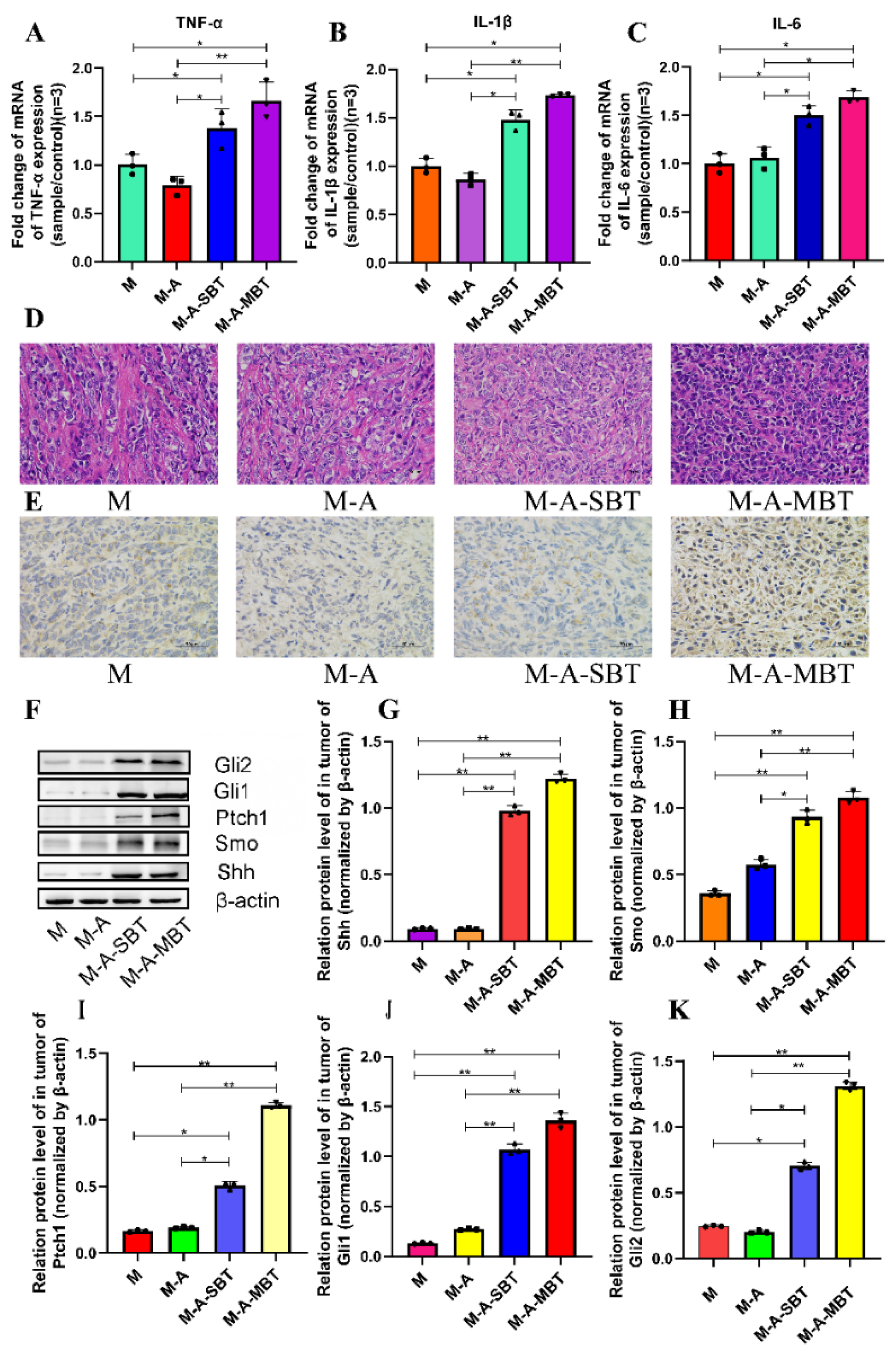 Cancers 14 05178 g005
