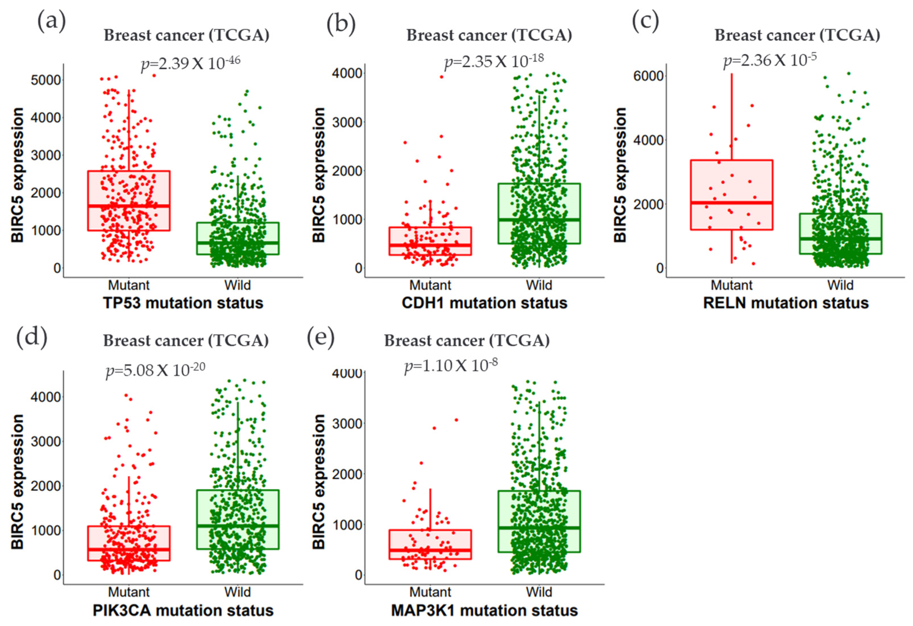 Cancers 14 05180 g009 Cancers 14 05180 g009