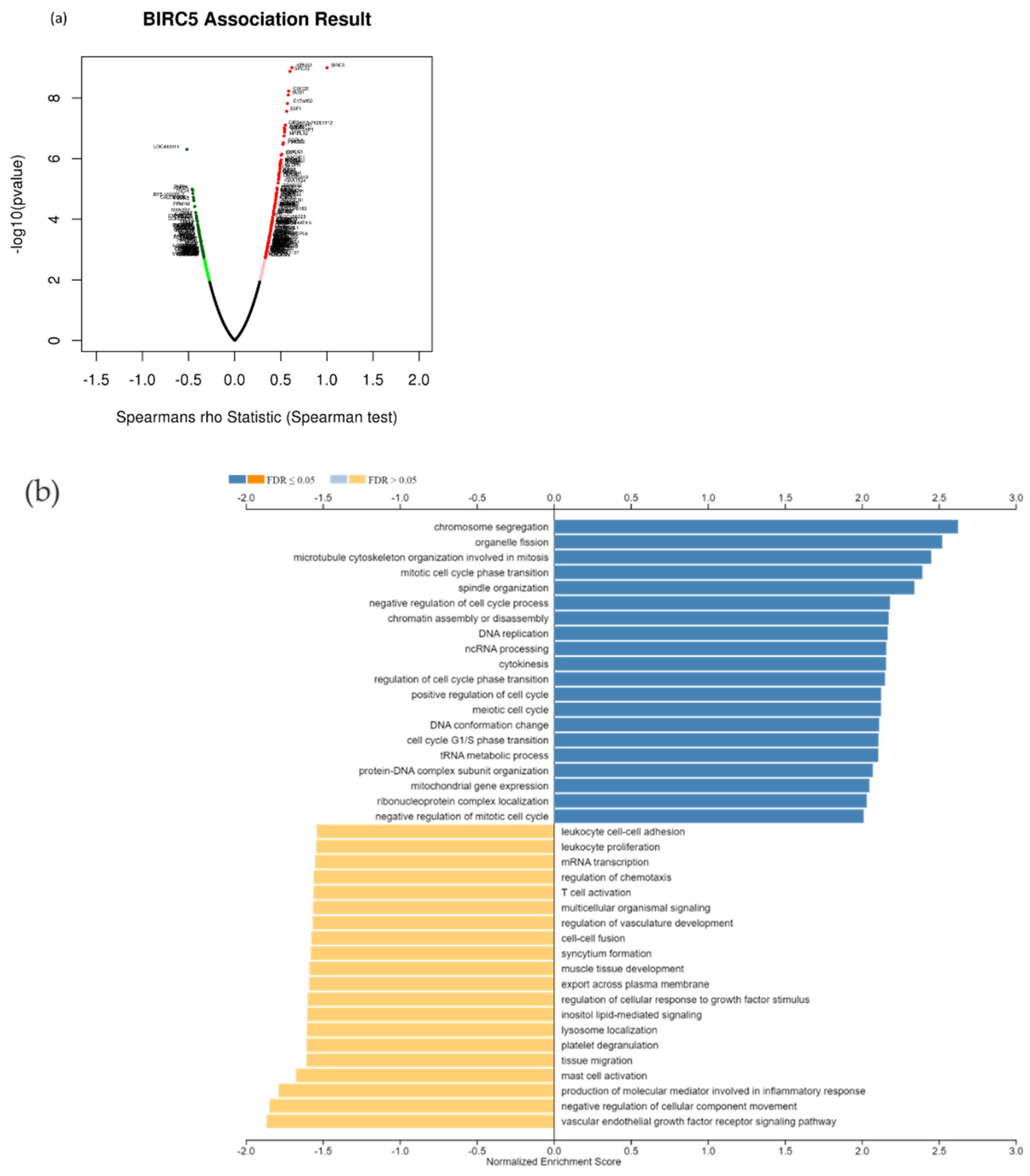 Cancers 14 05180 g011a Cancers 14 05180 g011a