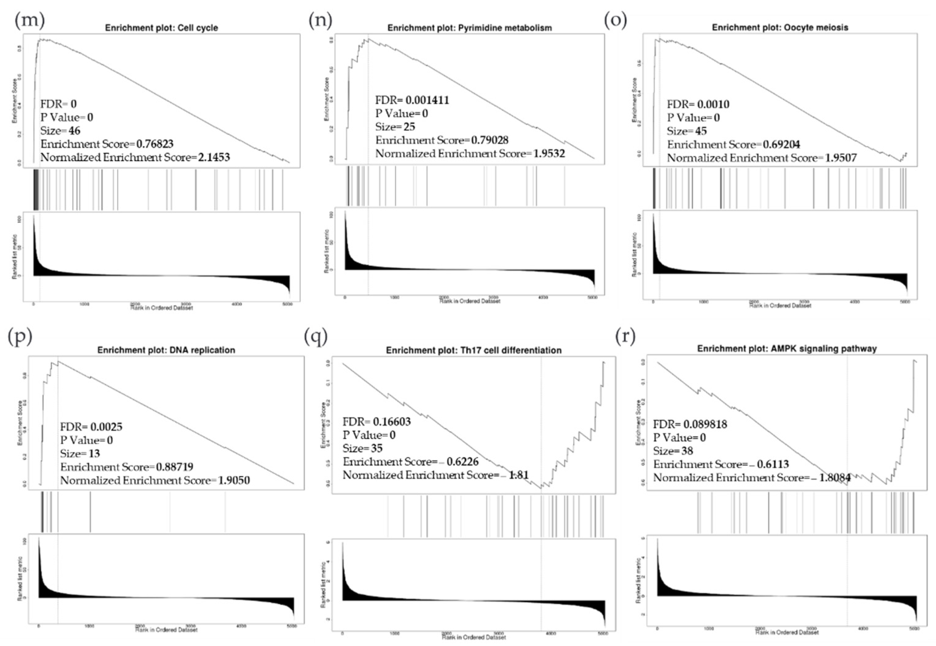 Cancers 14 05180 g011c Cancers 14 05180 g011c