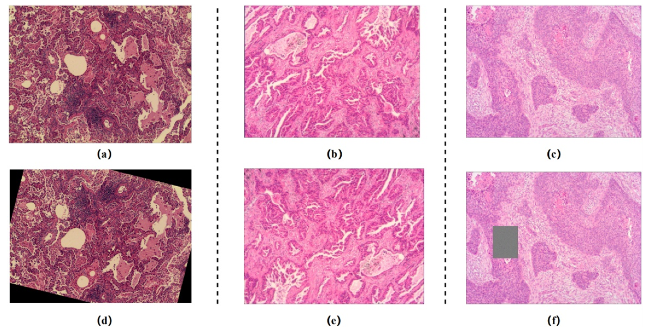 Cancers 14 05181 g001 Cancers 14 05181 g001