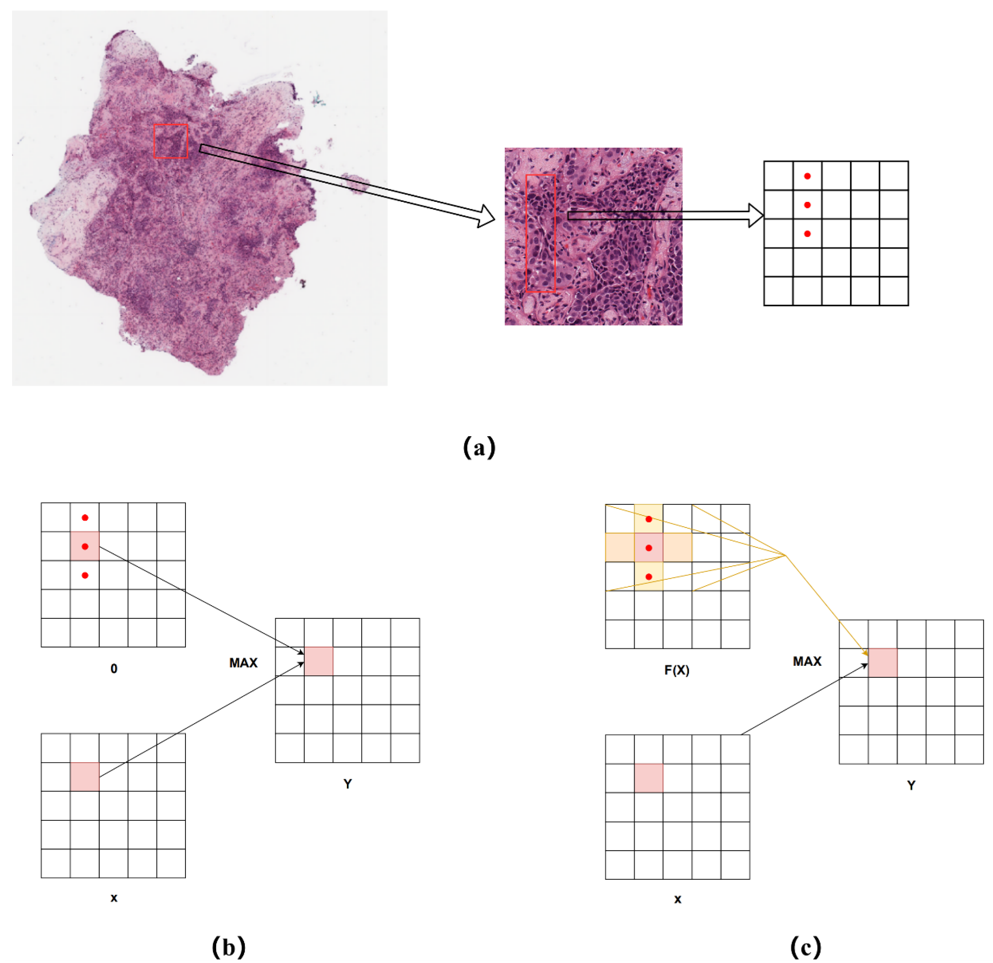Cancers 14 05181 g003 Cancers 14 05181 g003