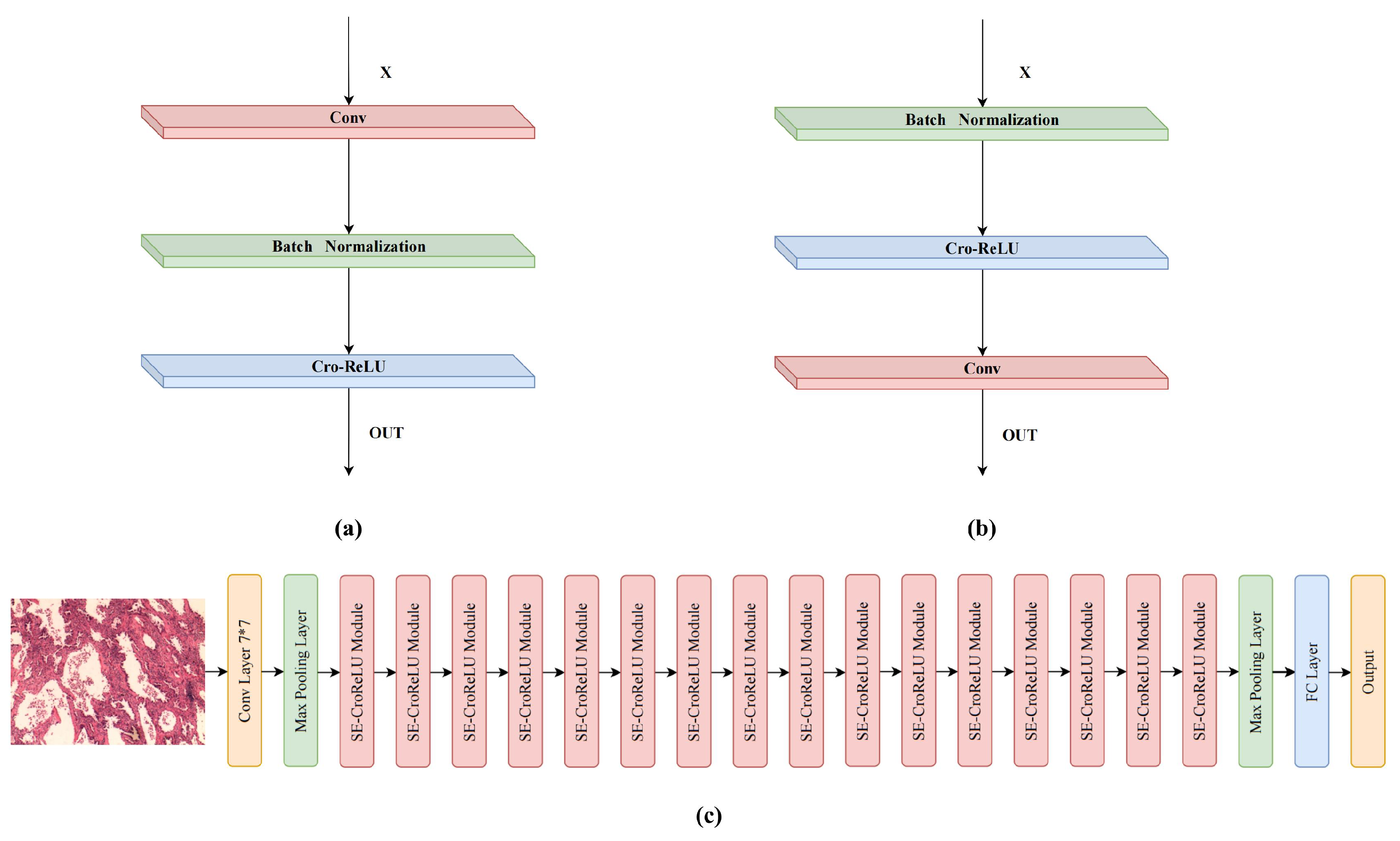 Cancers 14 05181 g004 Cancers 14 05181 g004