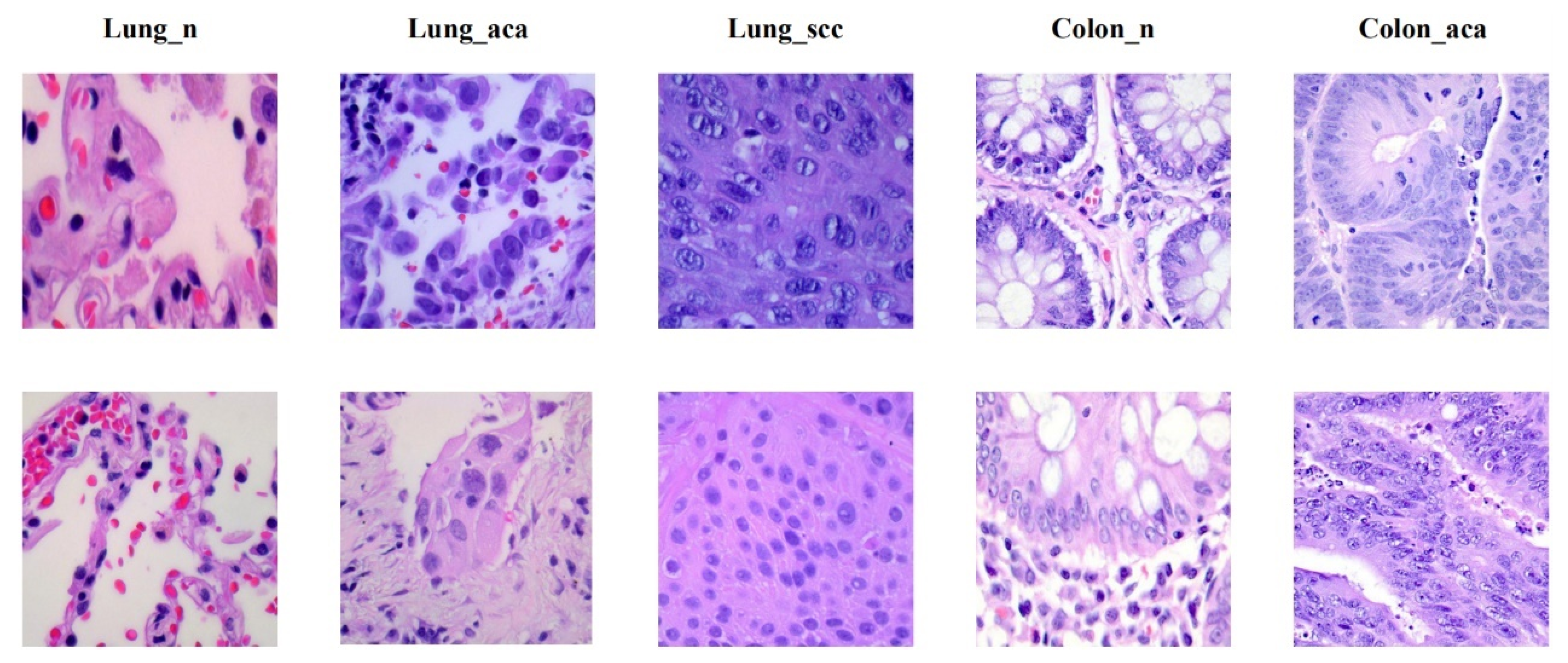 Cancers 14 05181 g007 Cancers 14 05181 g007