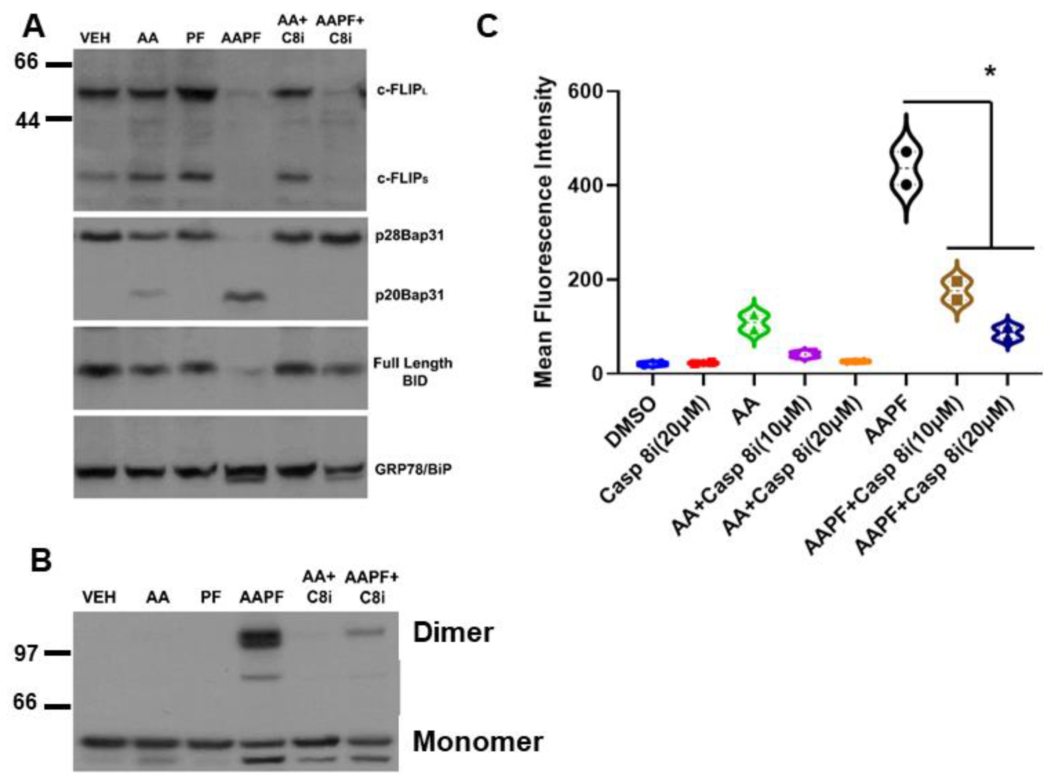 Cancers 14 05182 g003