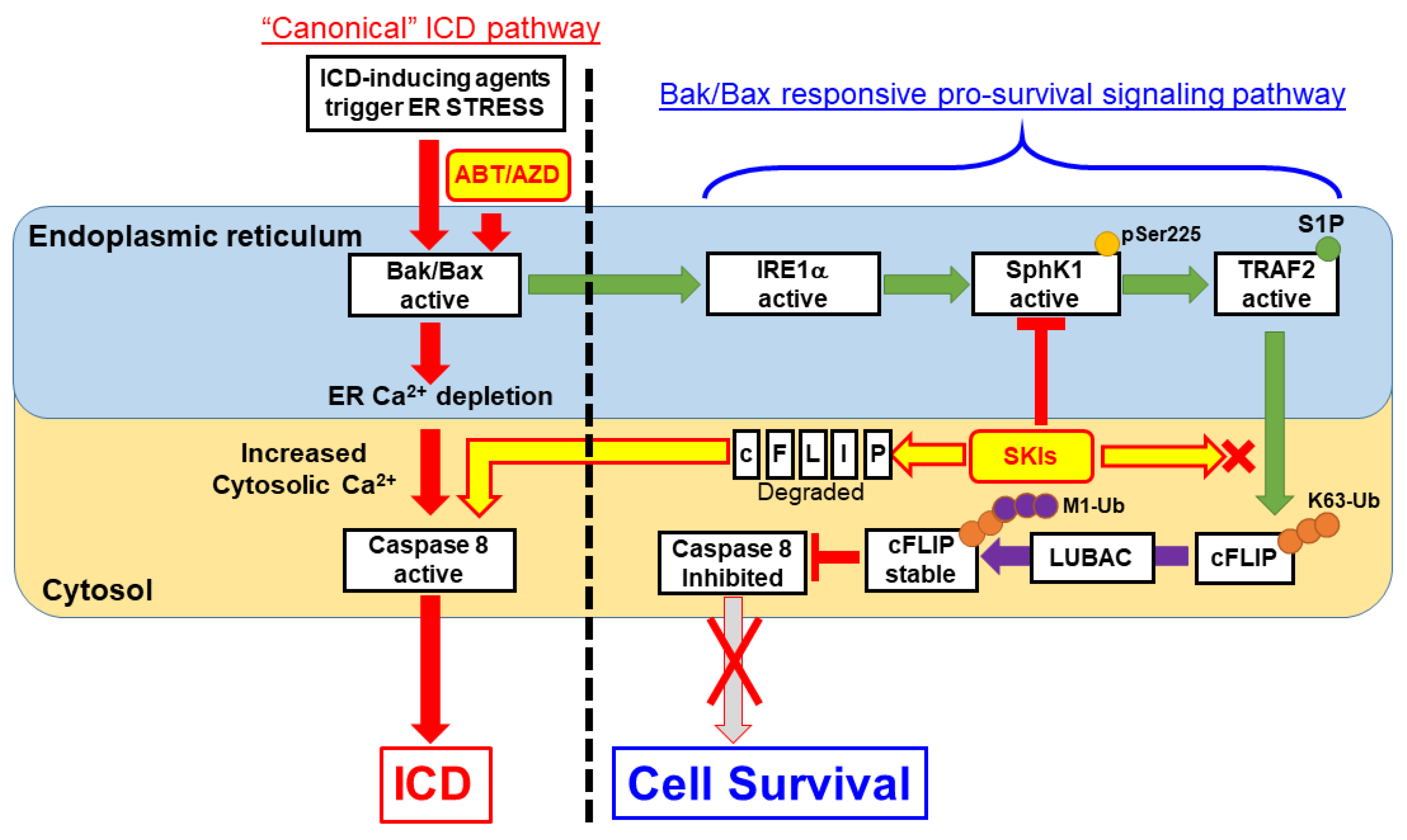 Cancers 14 05182 g010