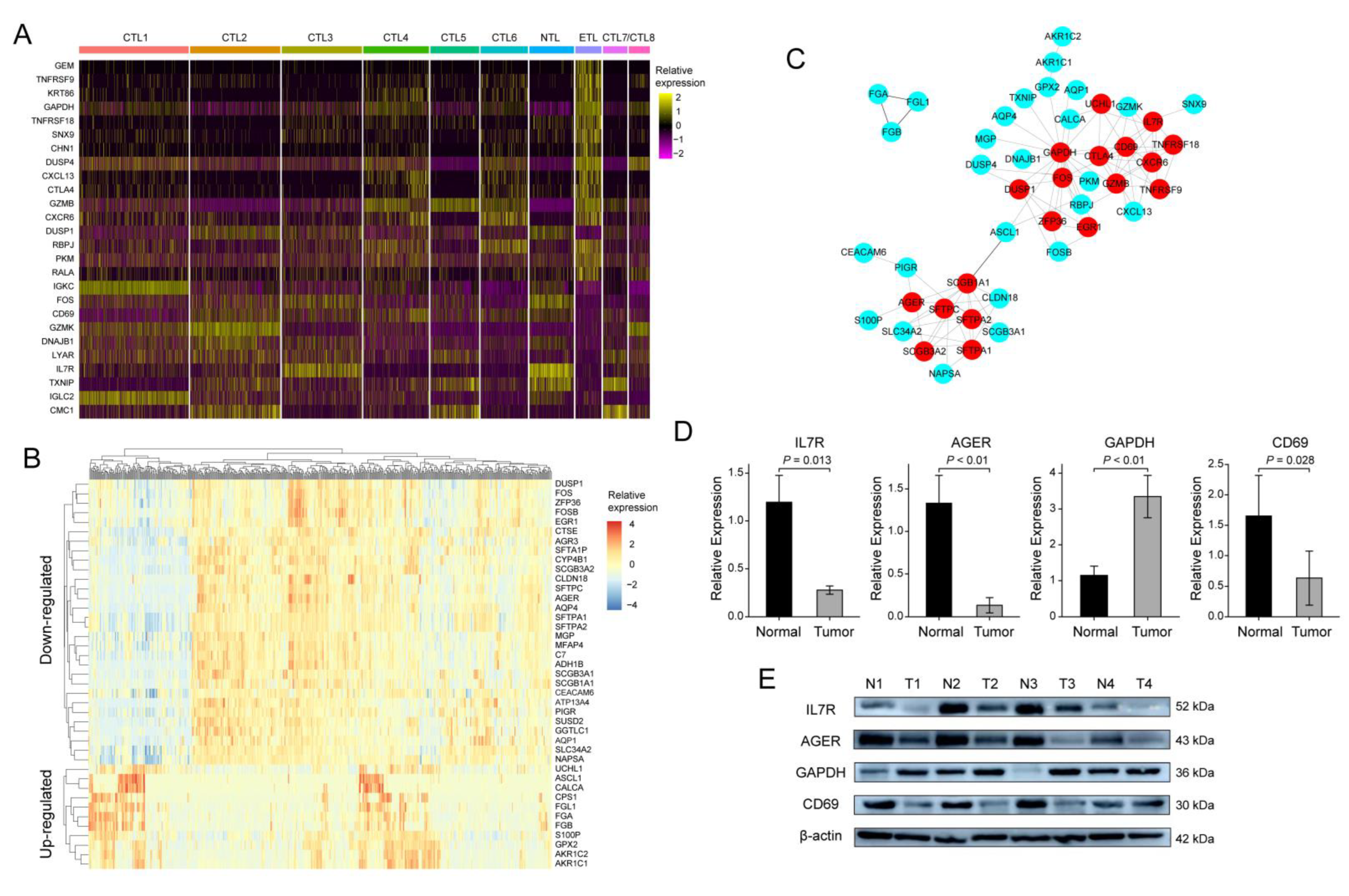 Cancers 14 05183 g003 Cancers 14 05183 g003