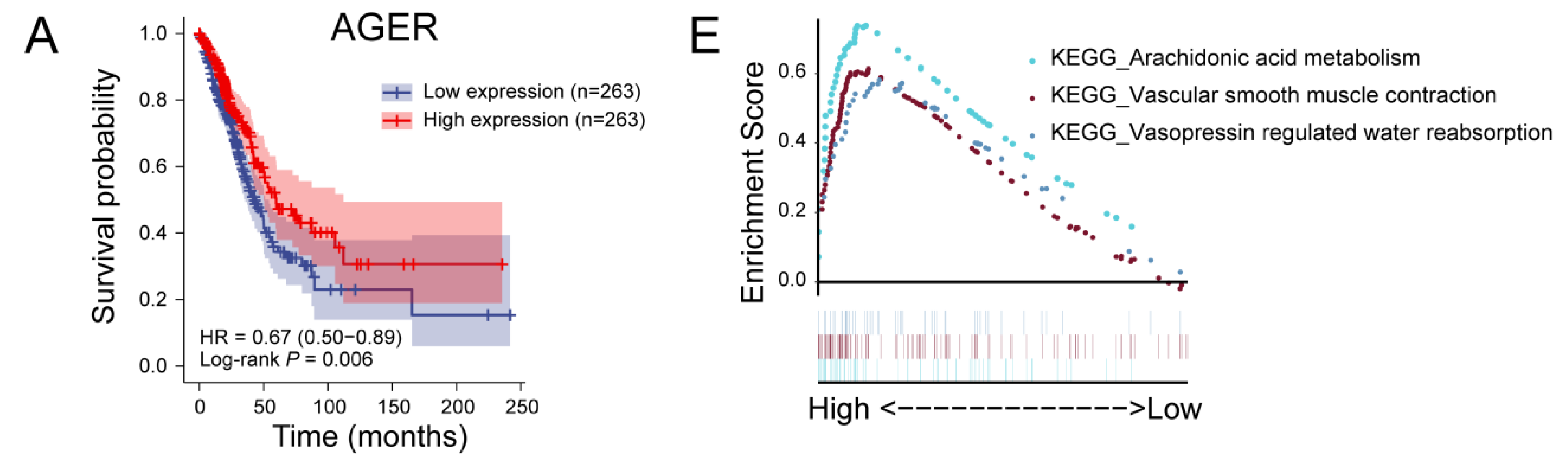 Cancers 14 05183 g004a Cancers 14 05183 g004a