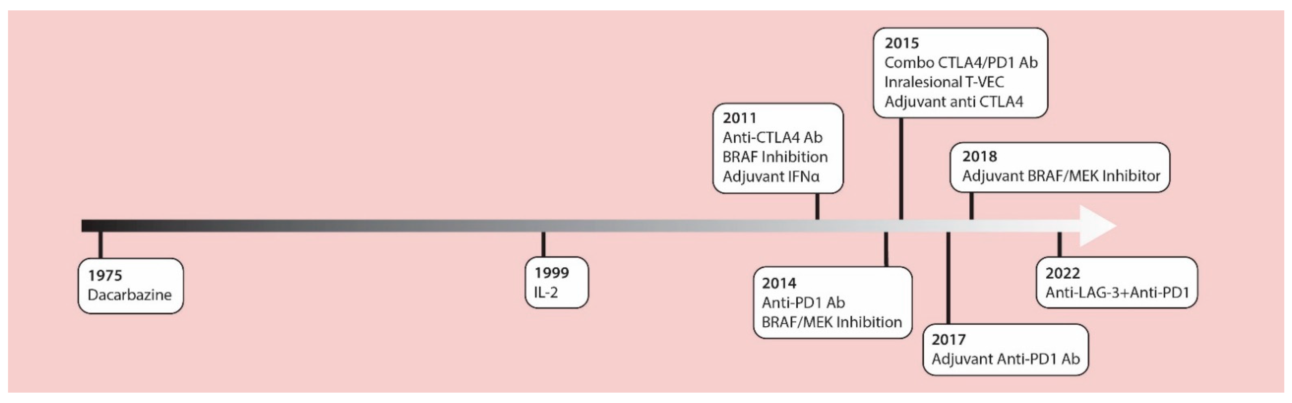 Cancers 14 05184 g001 Cancers 14 05184 g001