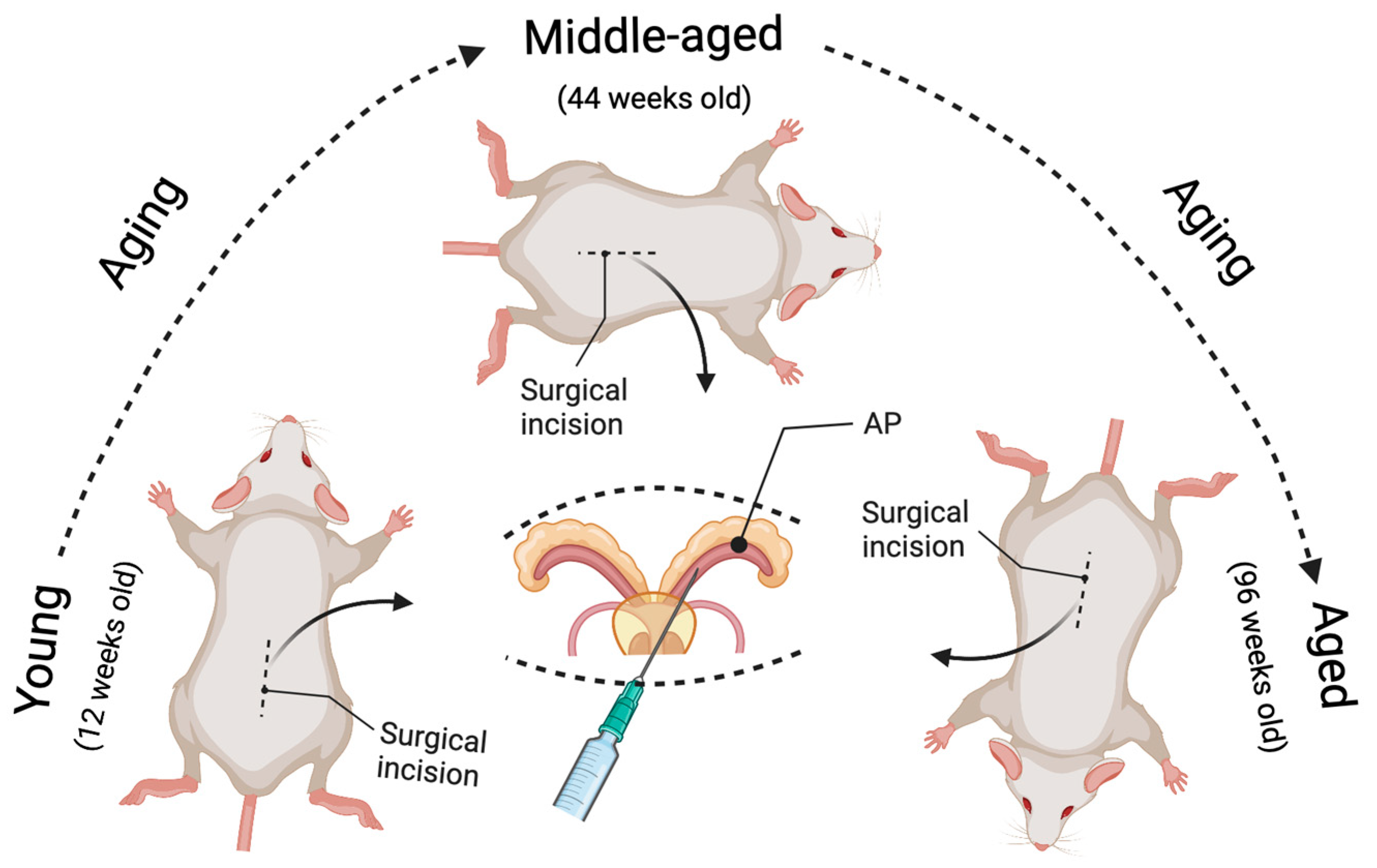 Cancers 14 05185 g001 Cancers 14 05185 g001