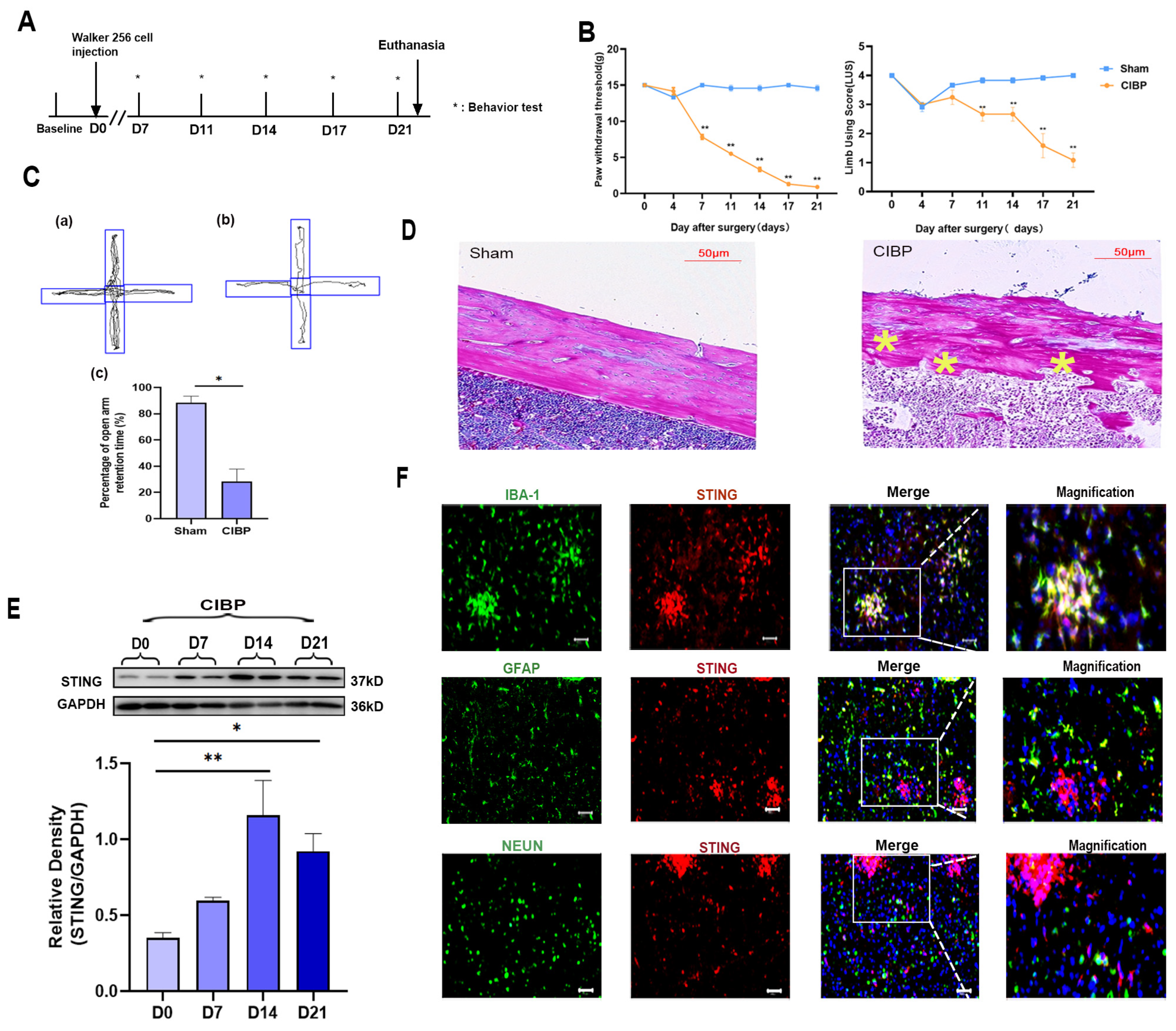 Cancers 14 05188 g001 Cancers 14 05188 g001