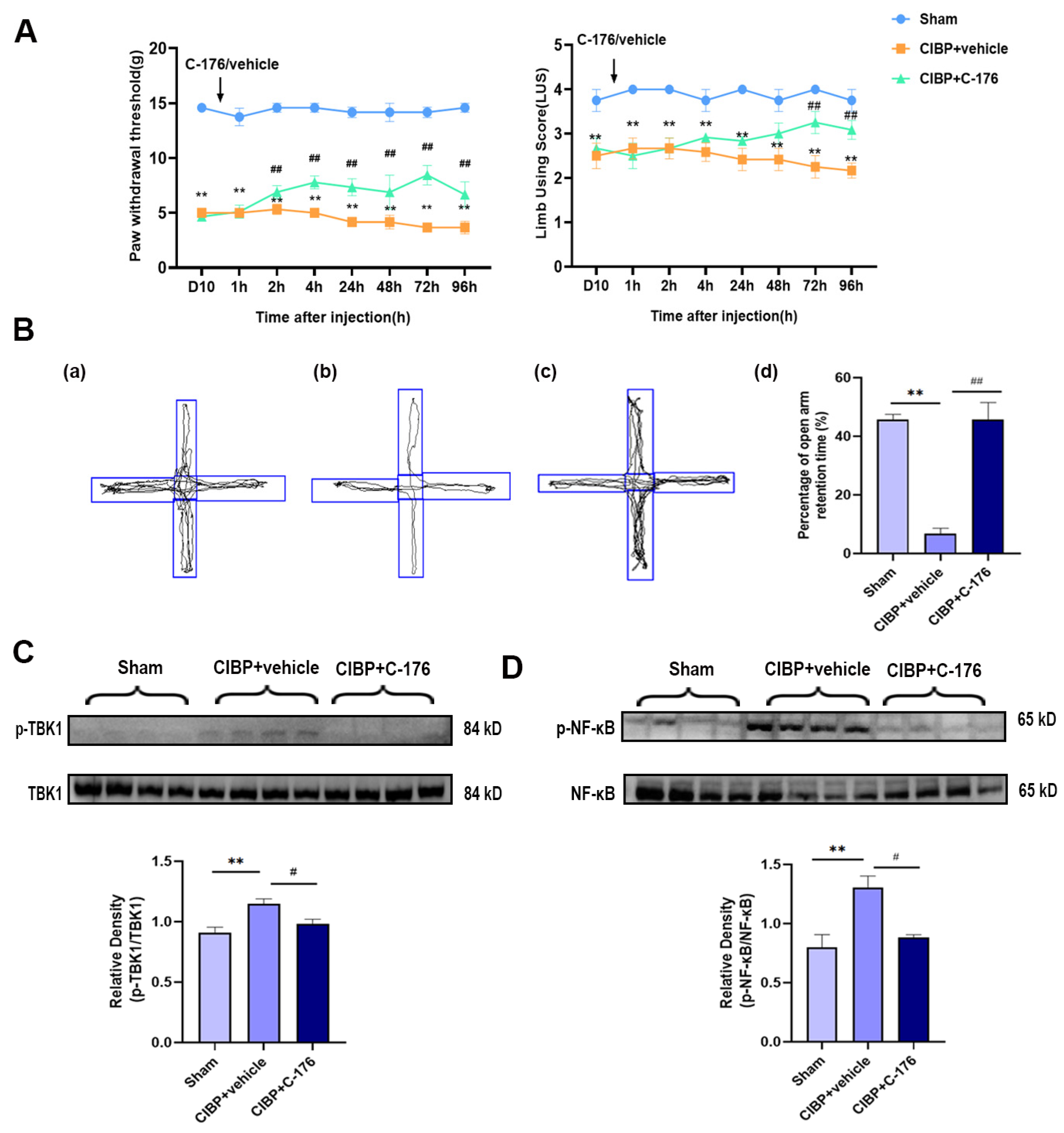 Cancers 14 05188 g003 Cancers 14 05188 g003