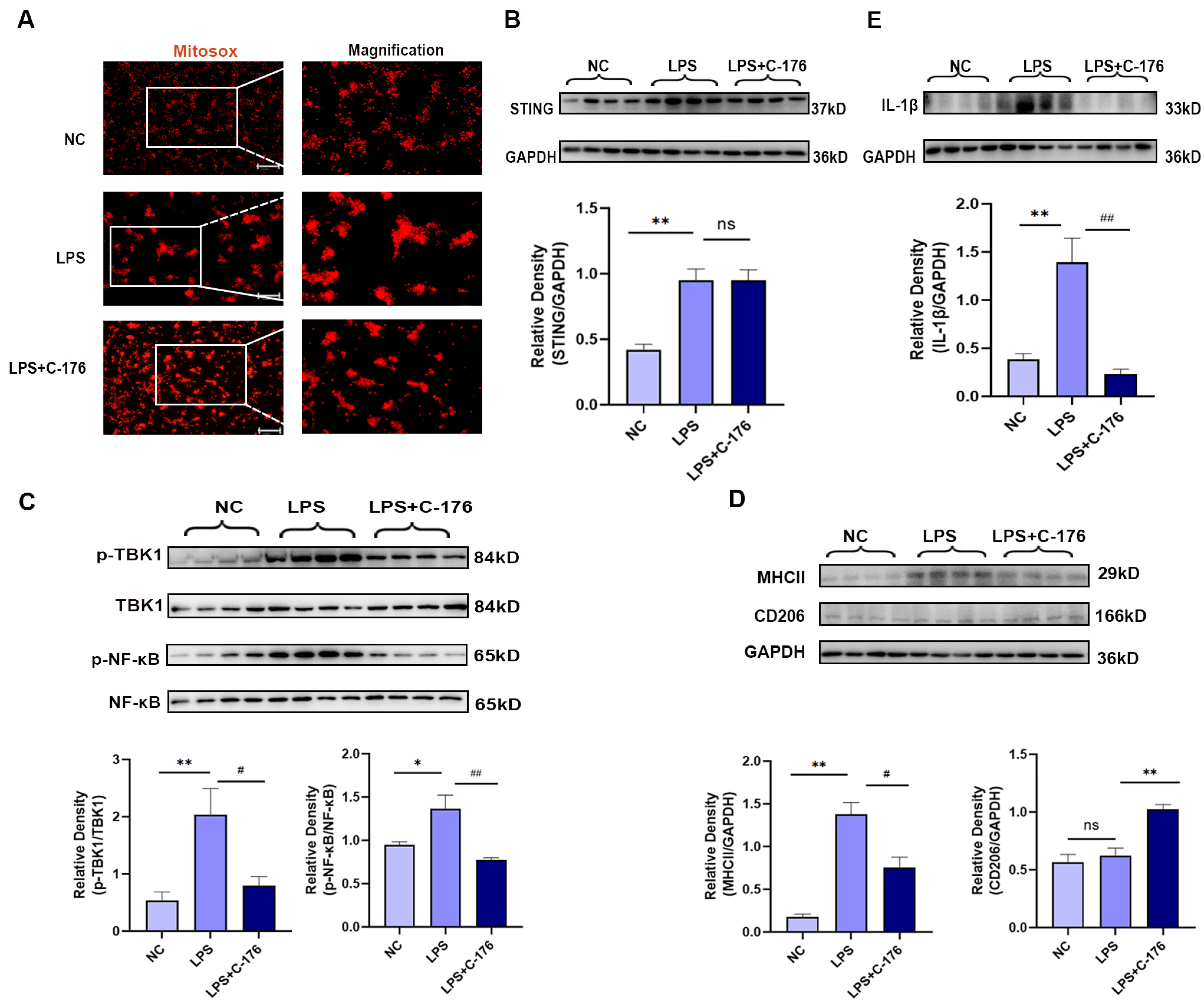 Cancers 14 05188 g005 Cancers 14 05188 g005