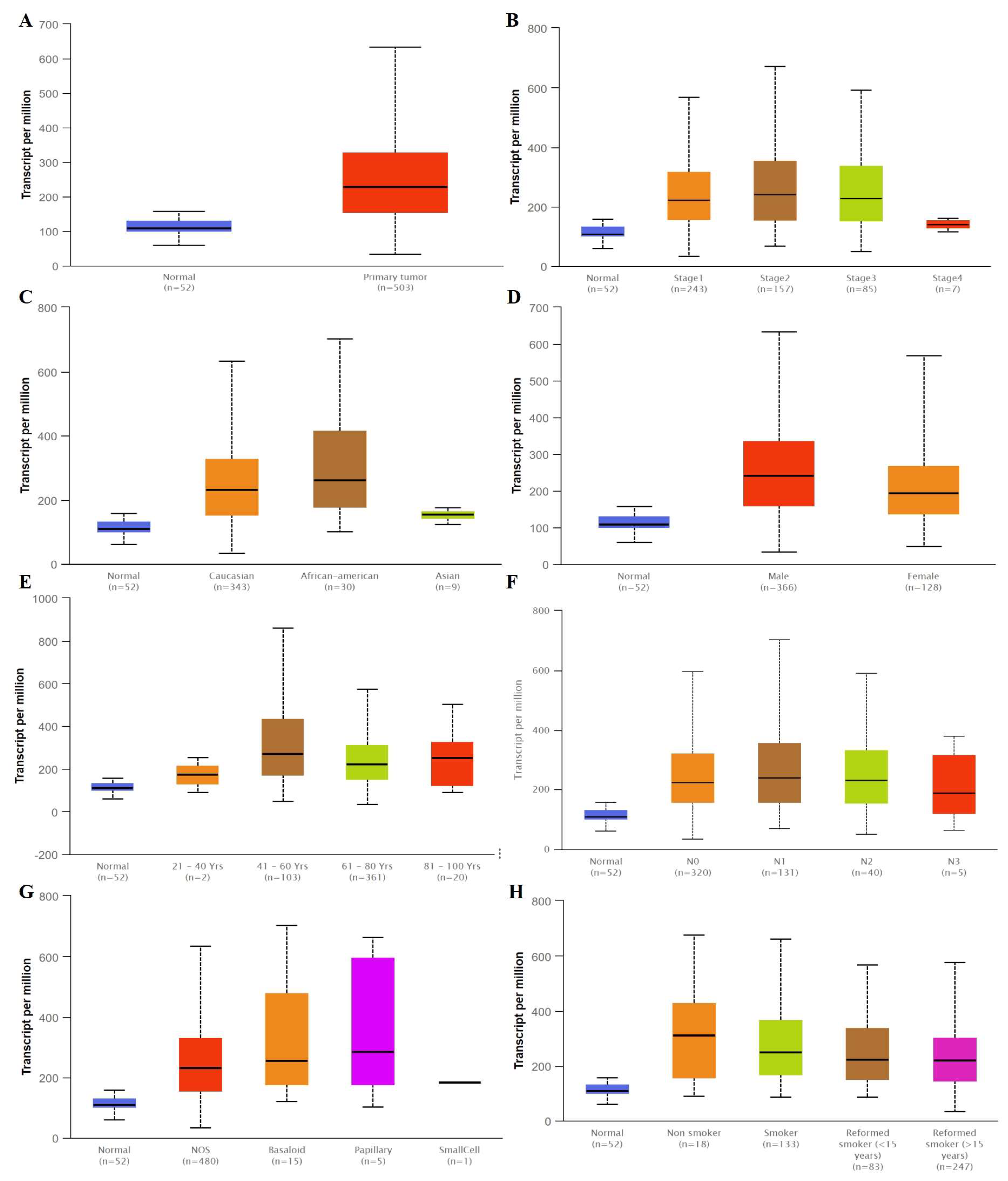 Cancers 14 05191 g002