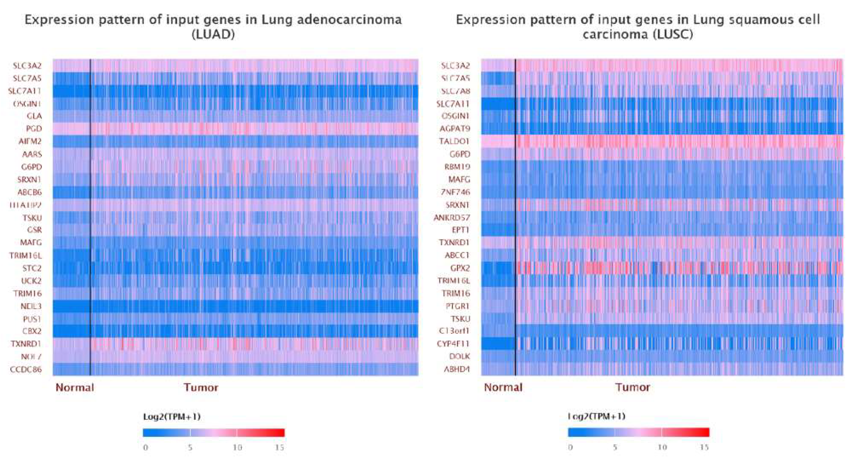 Cancers 14 05191 g009