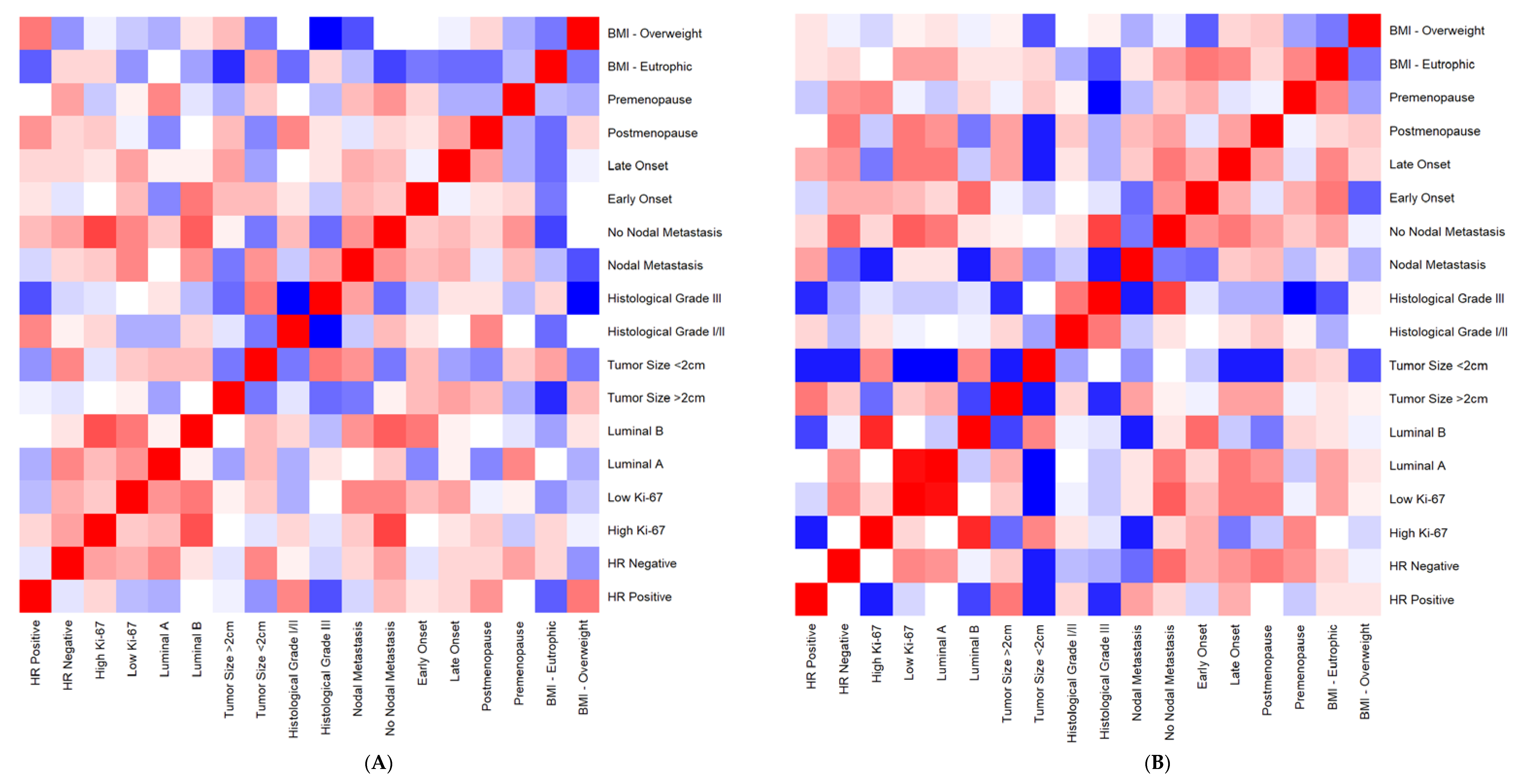Cancers 14 05199 g004 Cancers 14 05199 g004